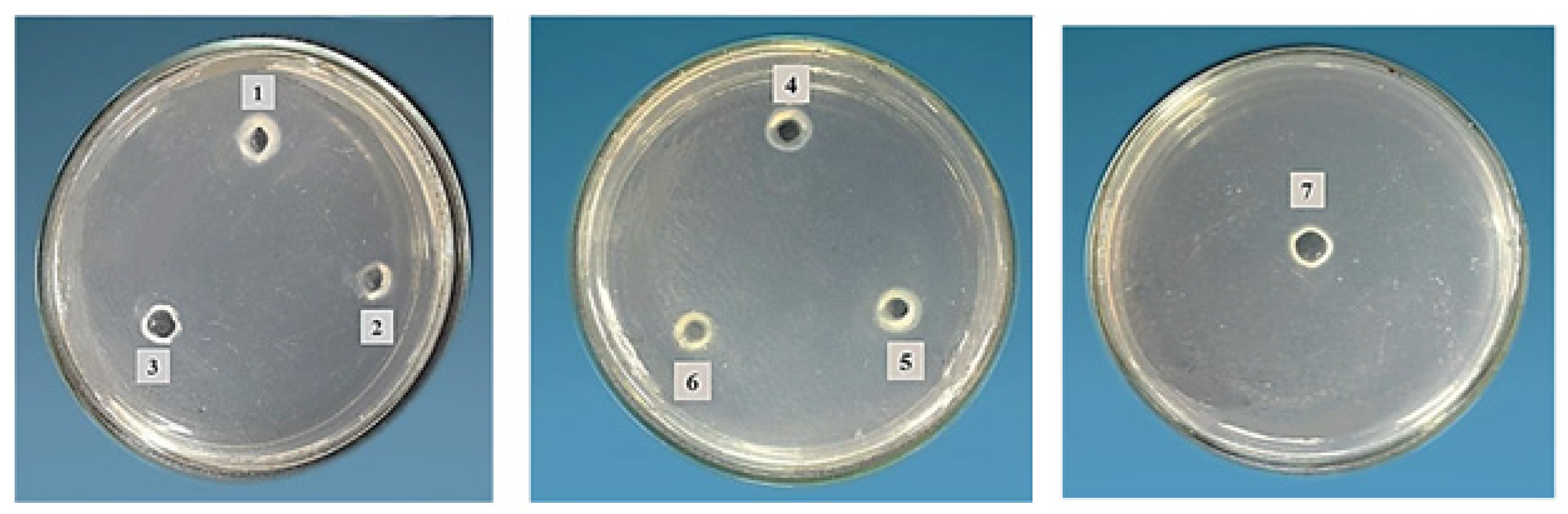 Molecules 28 00227 g003 Molecules 28 00227 g003