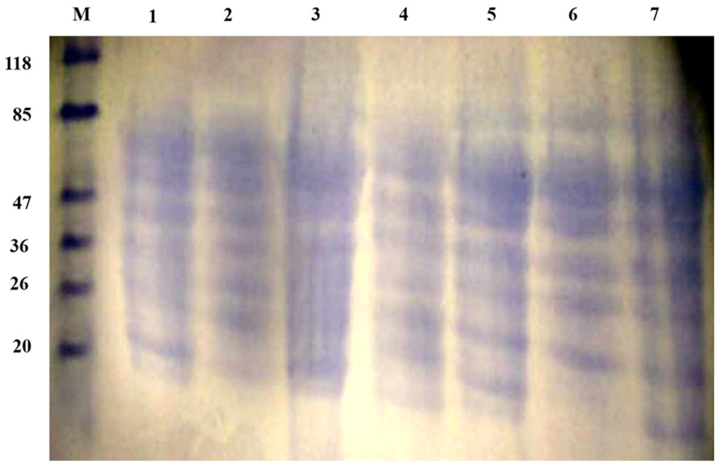 Molecules 28 00227 g004 Molecules 28 00227 g004