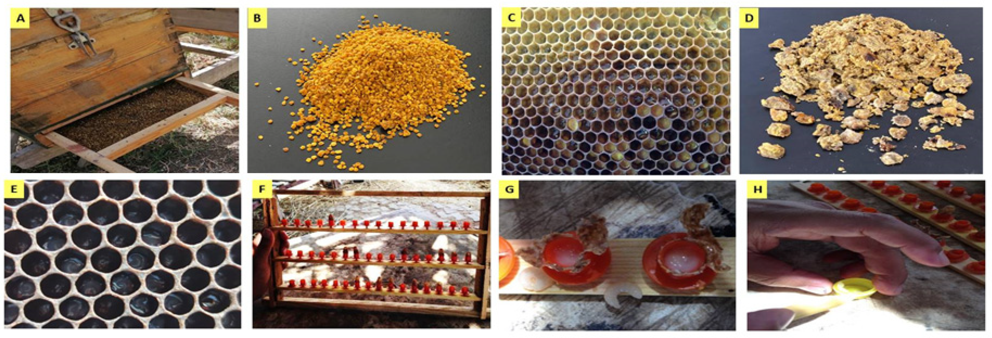 Molecules 28 00227 g008 Molecules 28 00227 g008