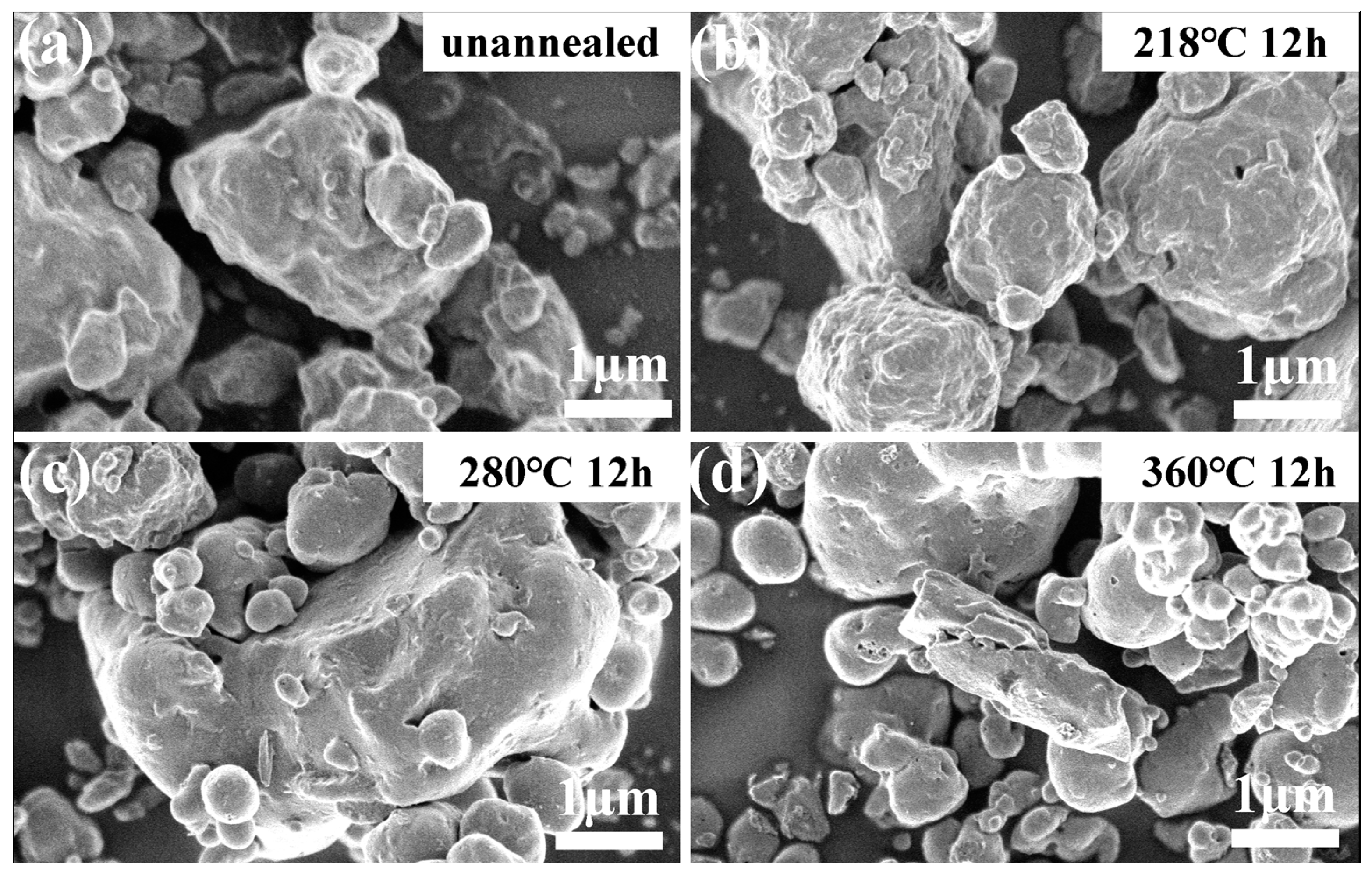 Molecules 28 00229 g006