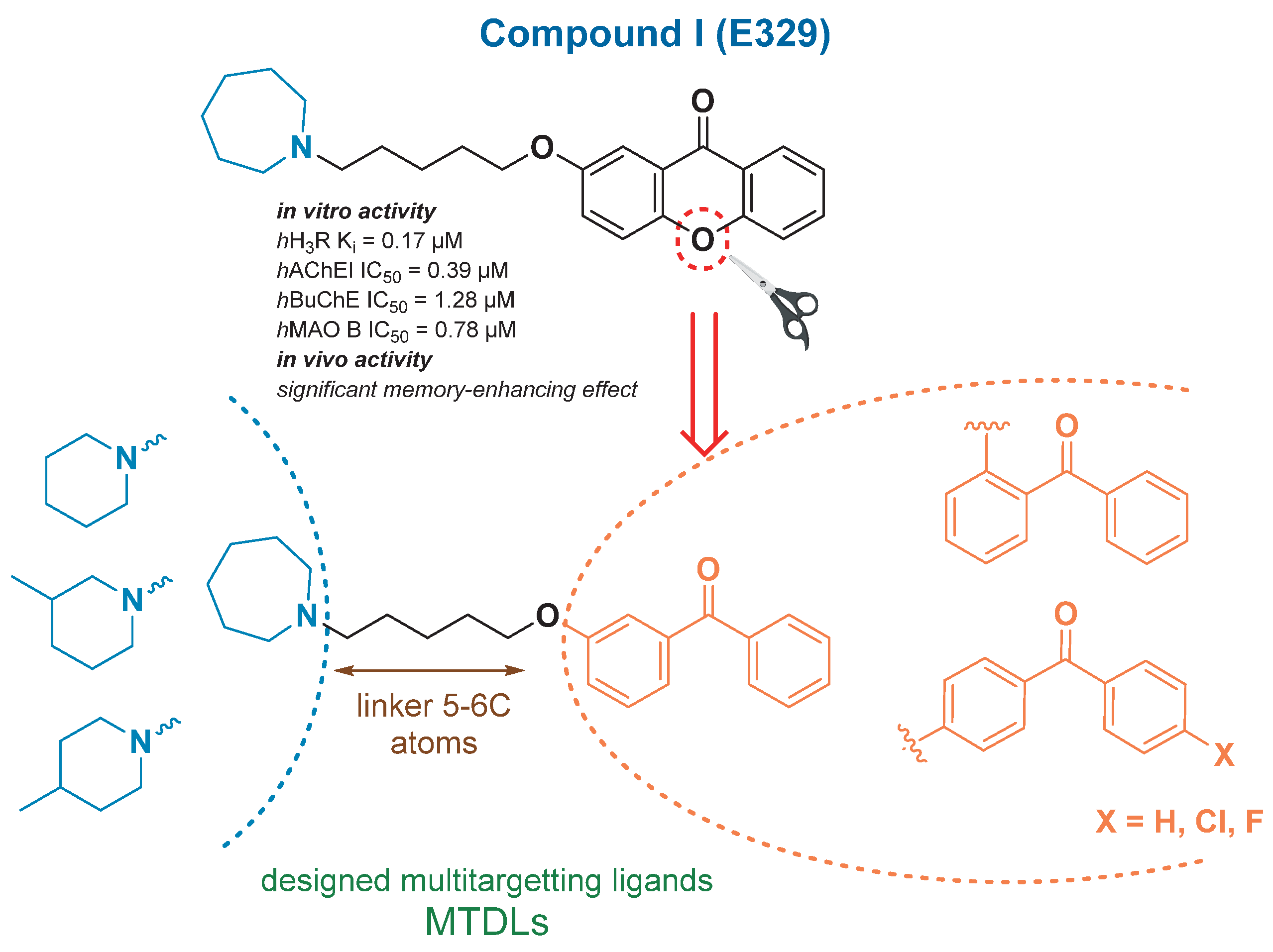 Molecules 28 00238 g001