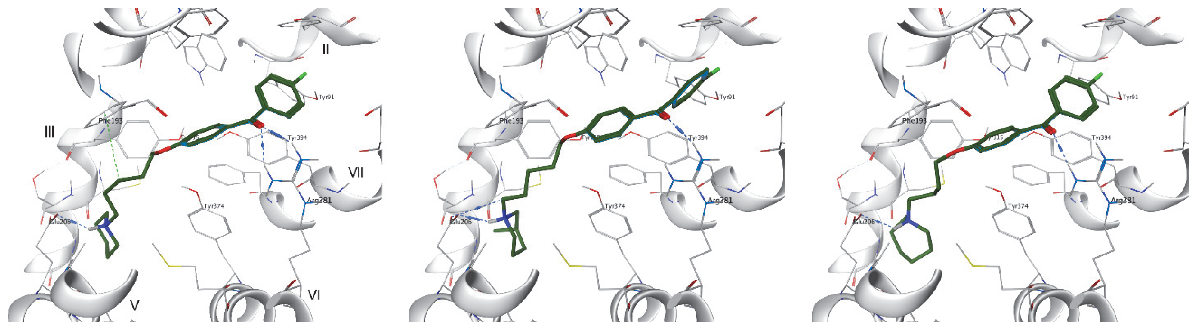 Molecules 28 00238 g005