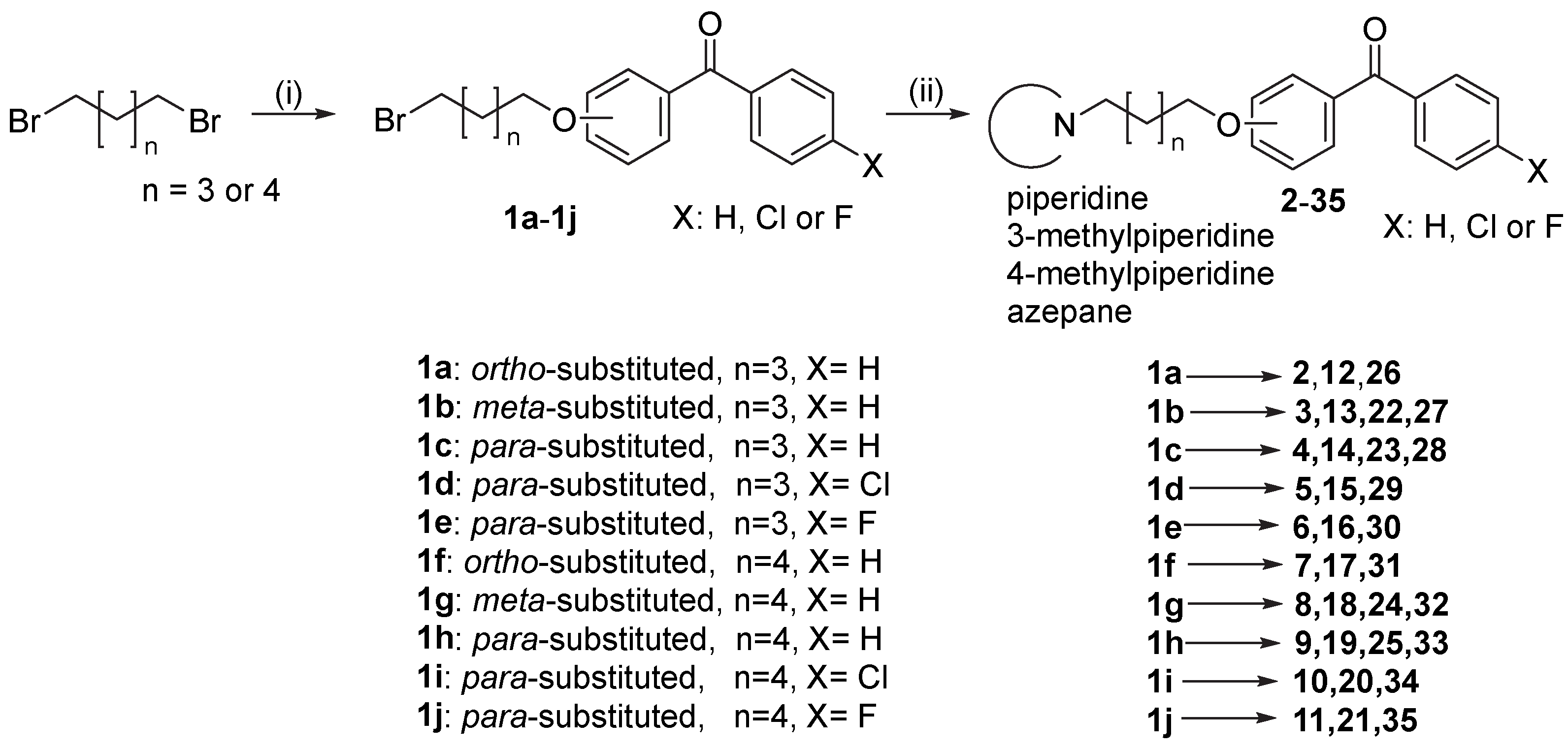 Molecules 28 00238 sch001