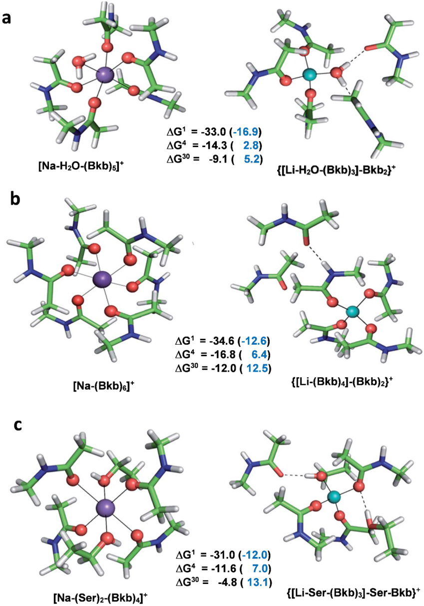 Molecules 28 00249 g004 Molecules 28 00249 g004