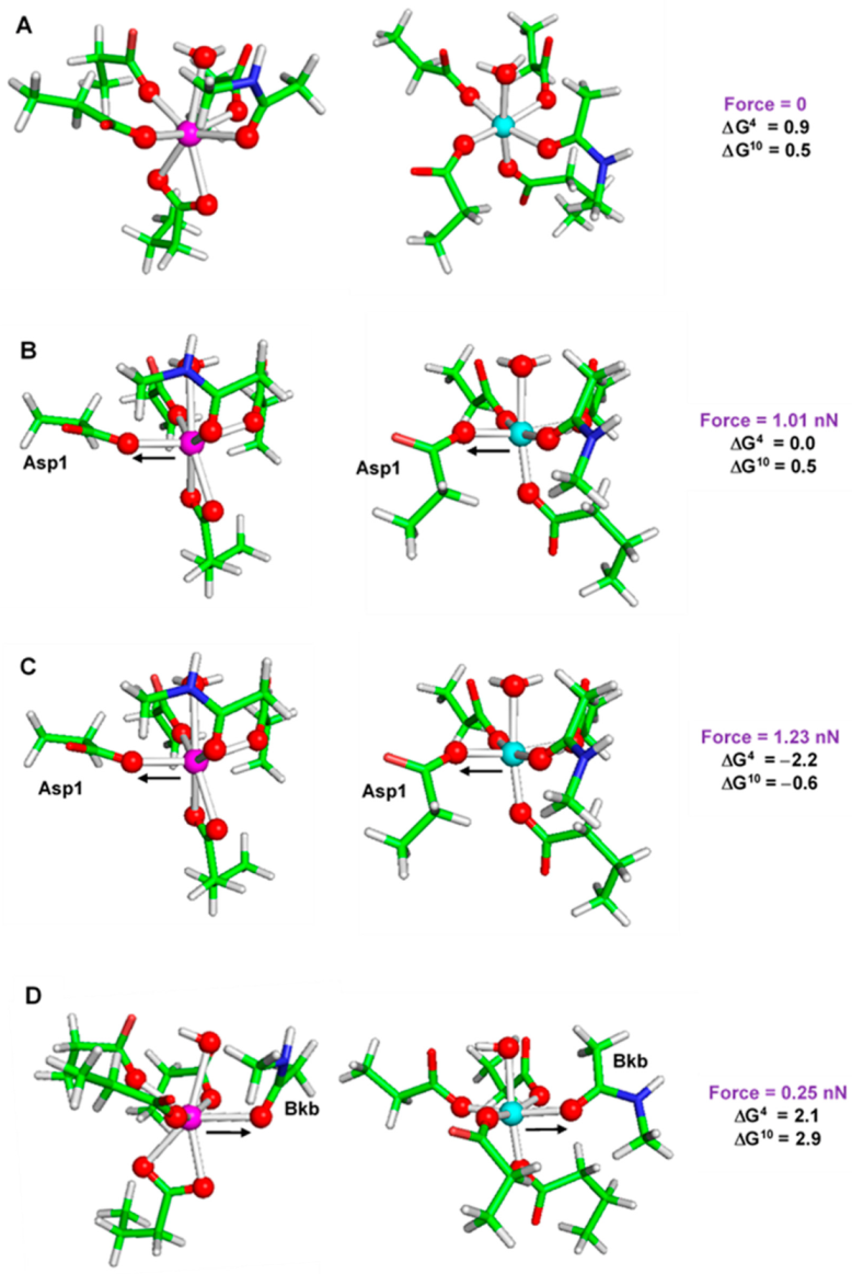 Molecules 28 00249 g009 Molecules 28 00249 g009