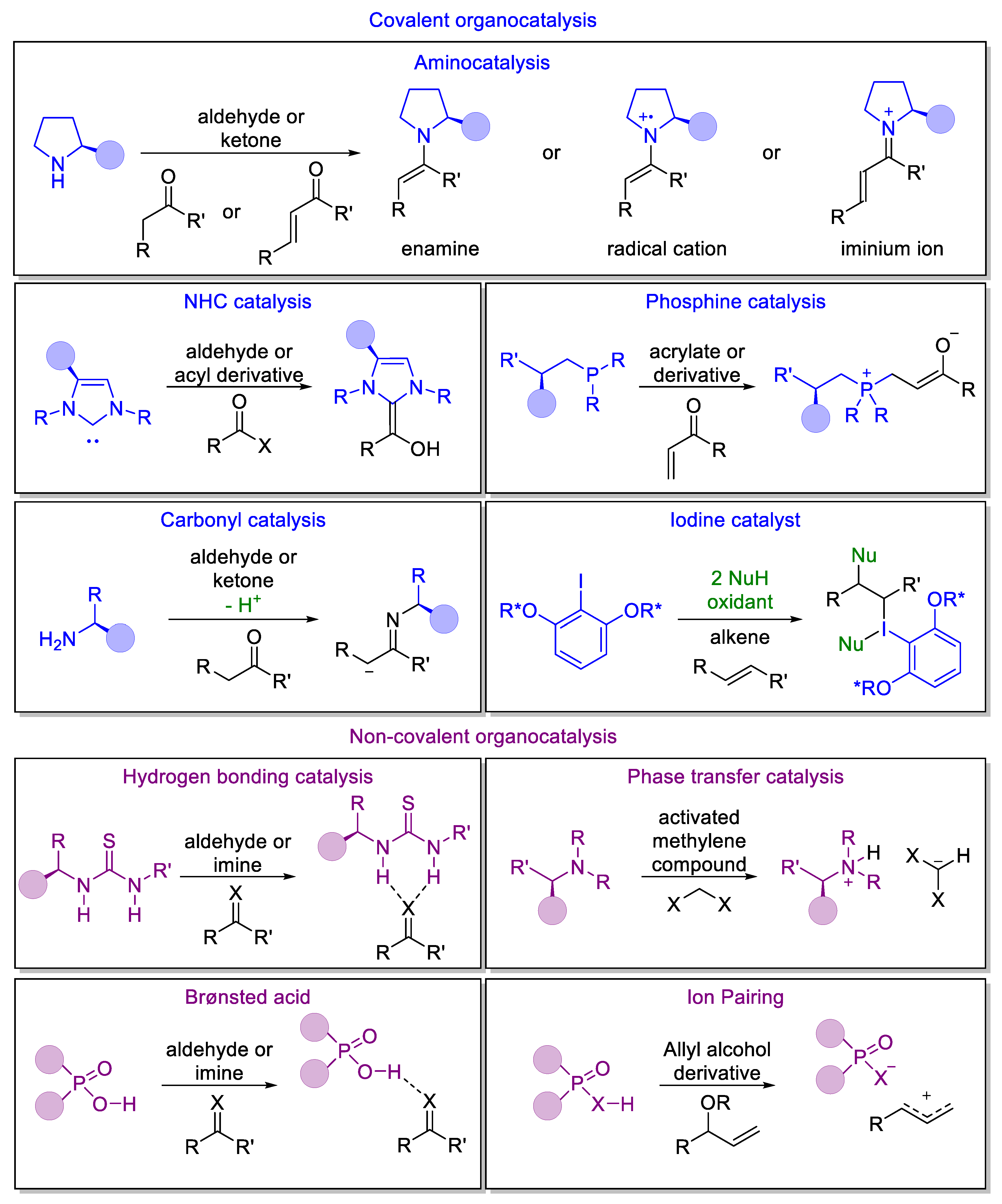 Molecules 28 00271 g003 Molecules 28 00271 g003