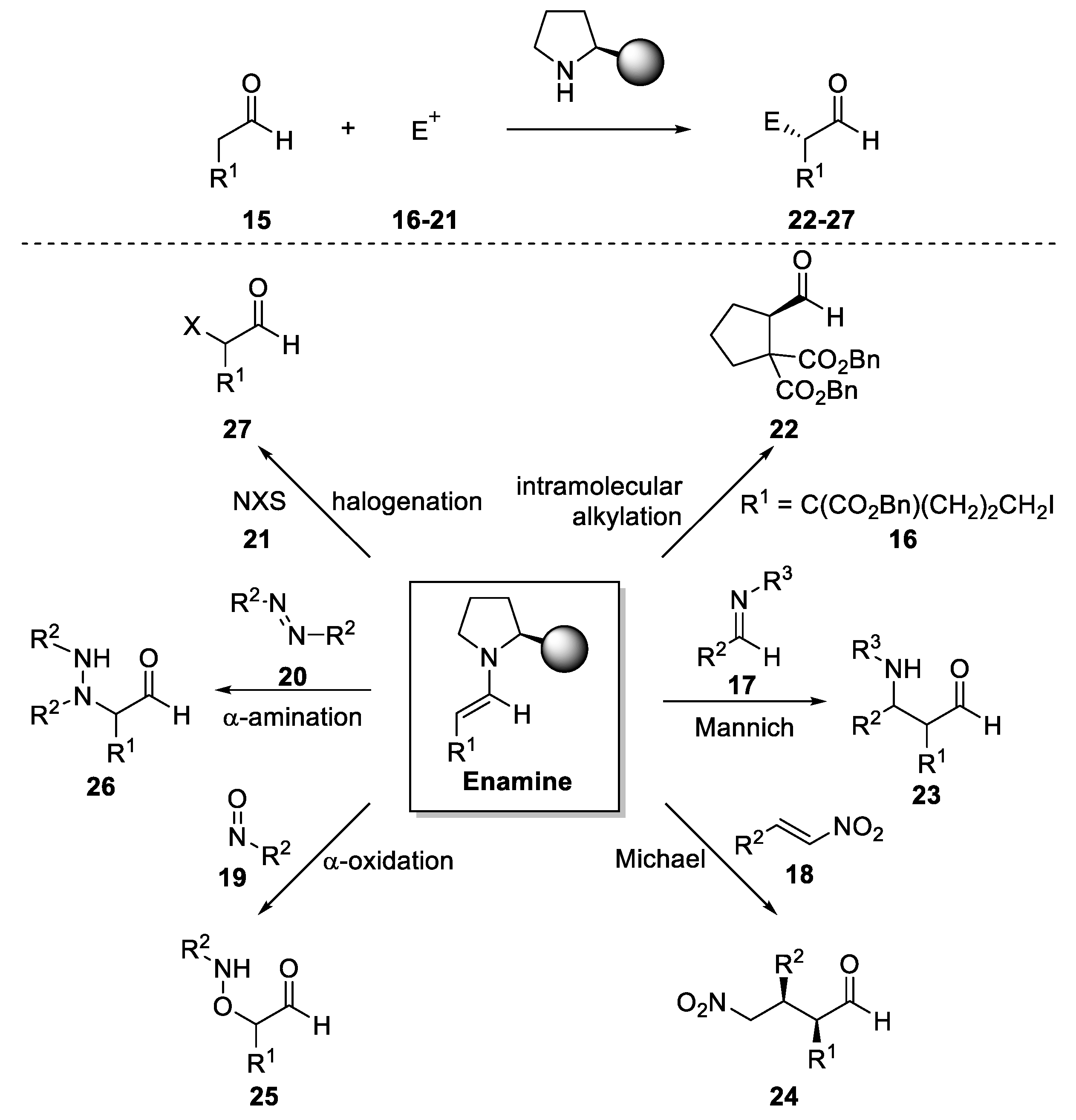 Molecules 28 00271 g006 Molecules 28 00271 g006