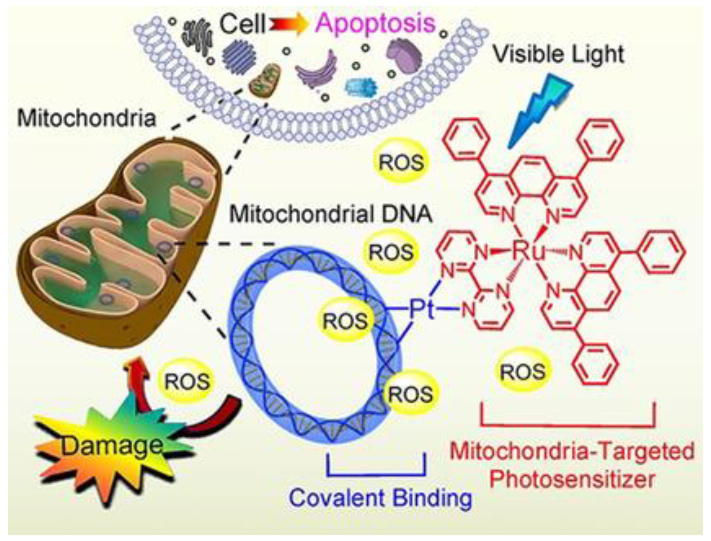 Molecules 28 00273 g003 Molecules 28 00273 g003