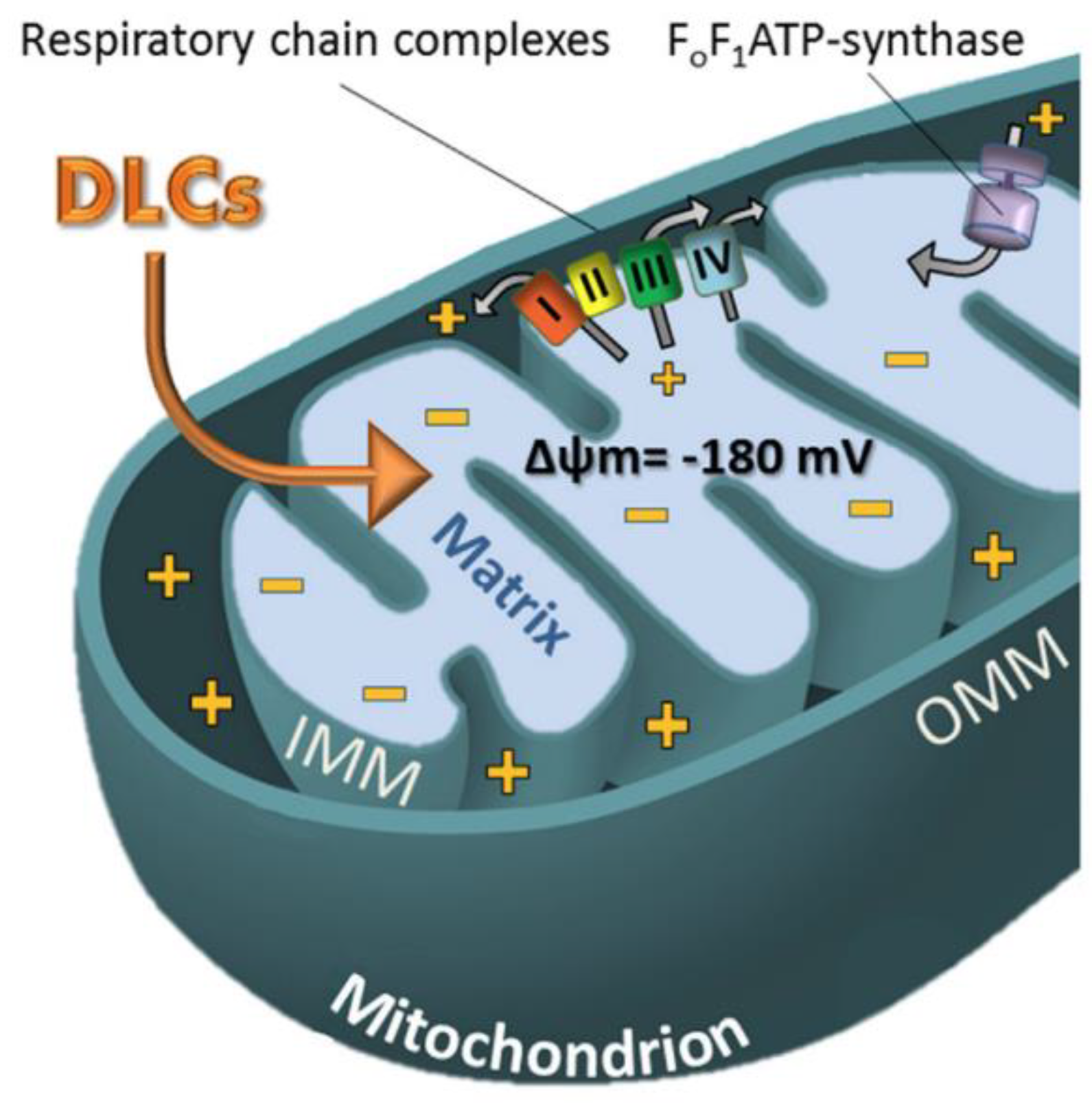 Molecules 28 00273 g019 Molecules 28 00273 g019