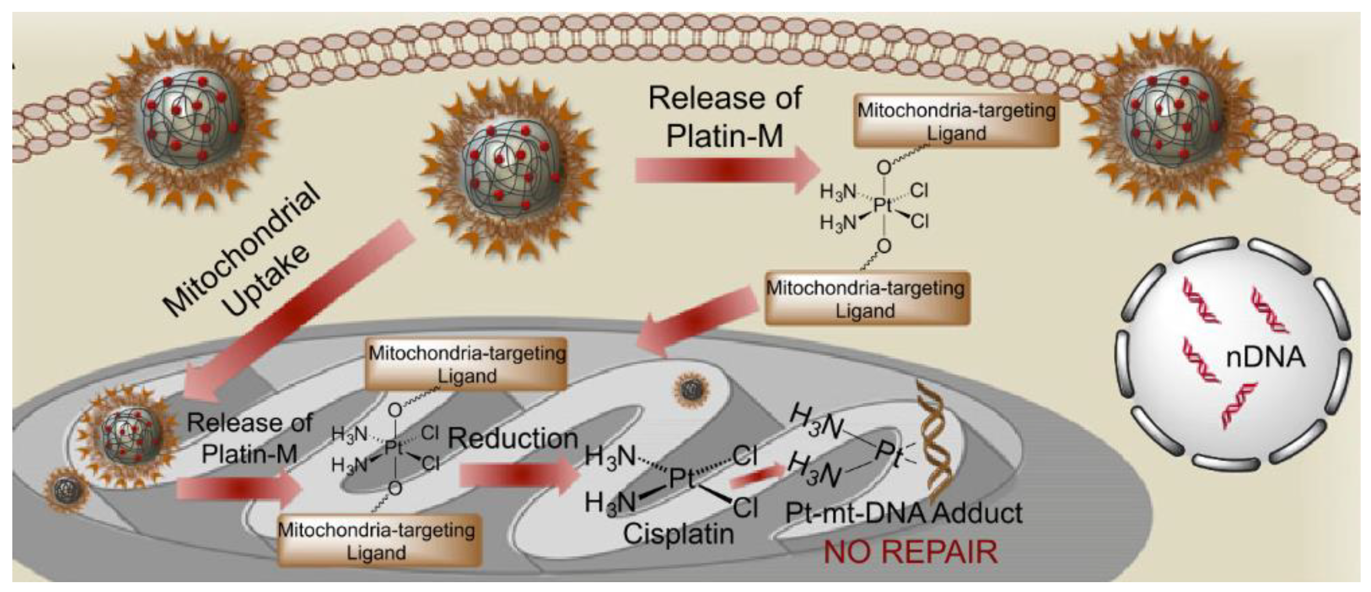 Molecules 28 00273 g021 Molecules 28 00273 g021
