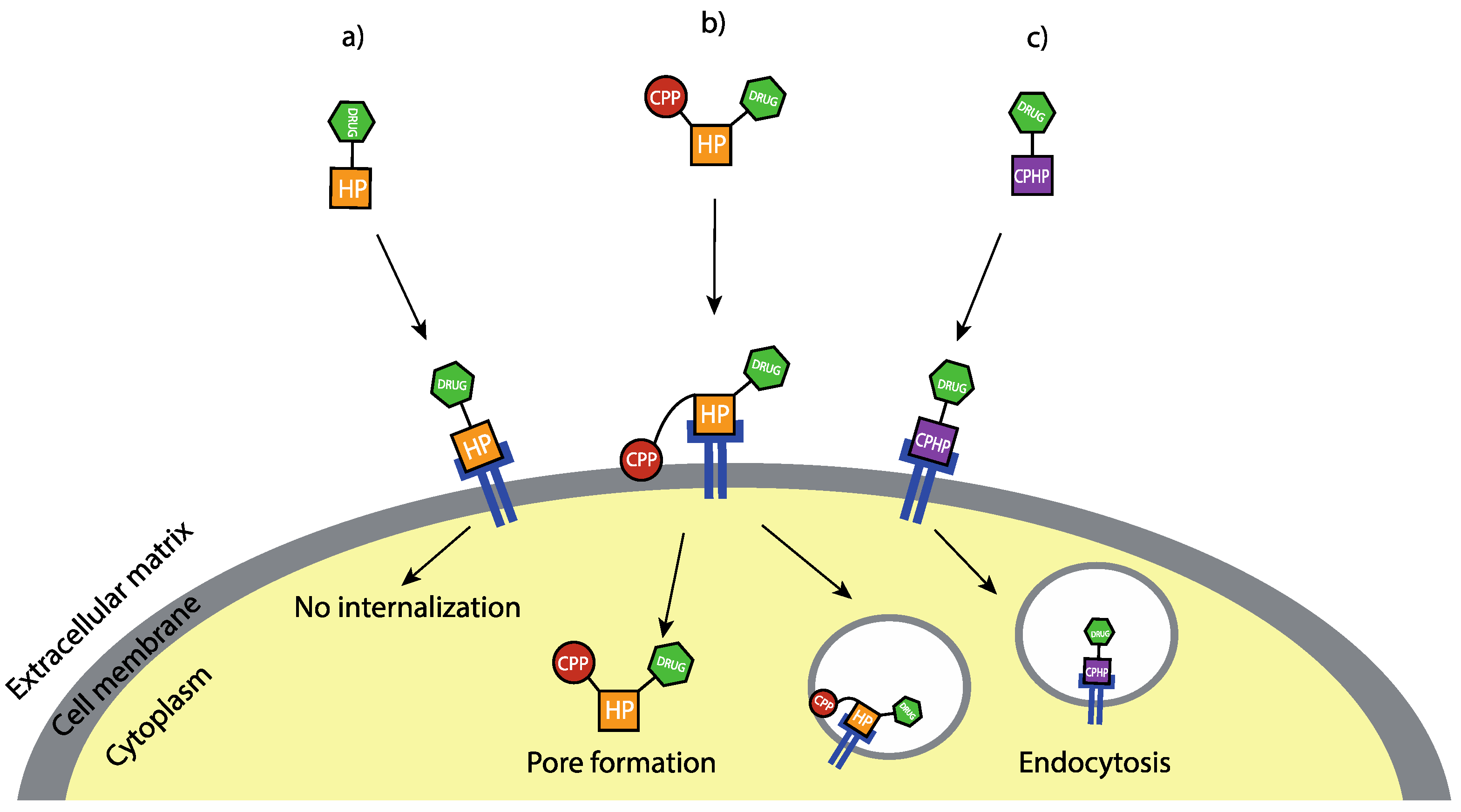Molecules 28 00273 g030 Molecules 28 00273 g030