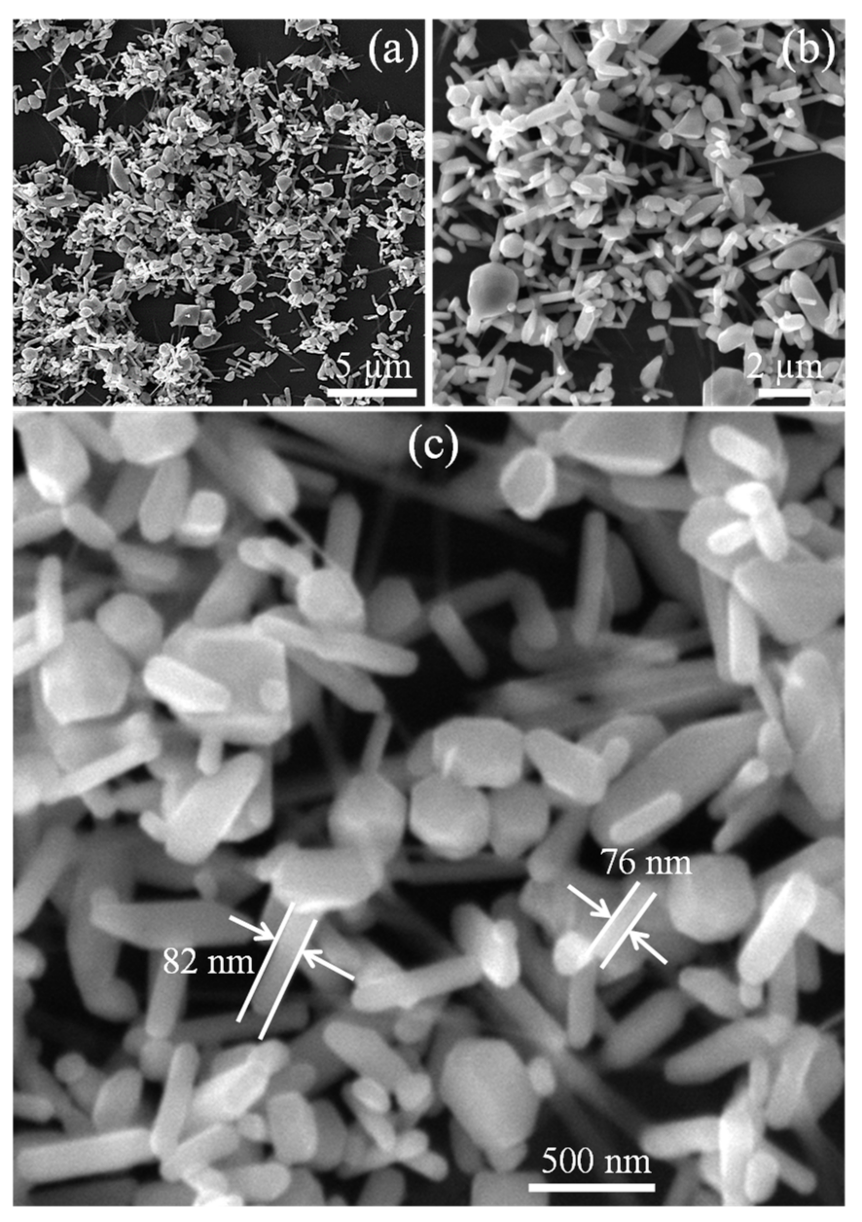 Molecules 28 00285 g002 Molecules 28 00285 g002
