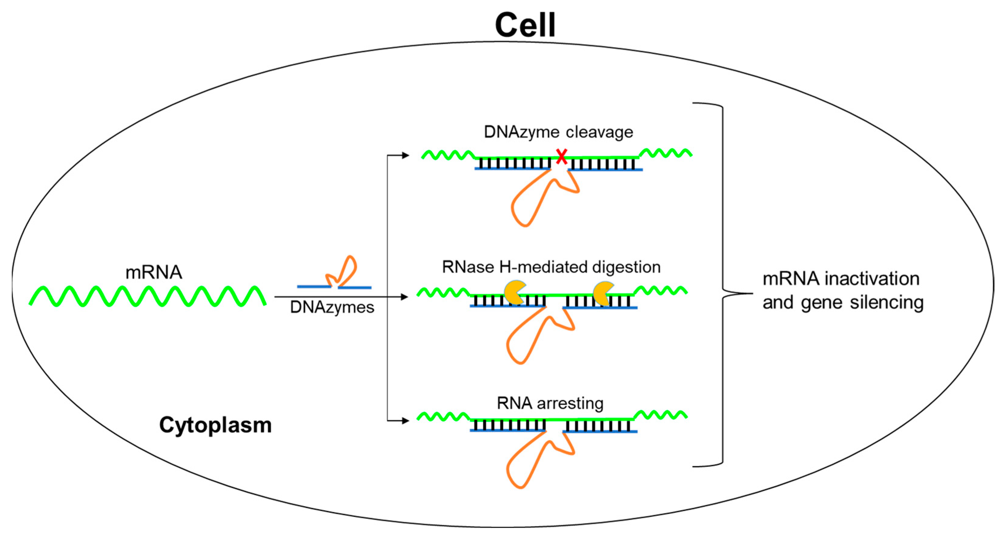 Molecules 28 00286 g001