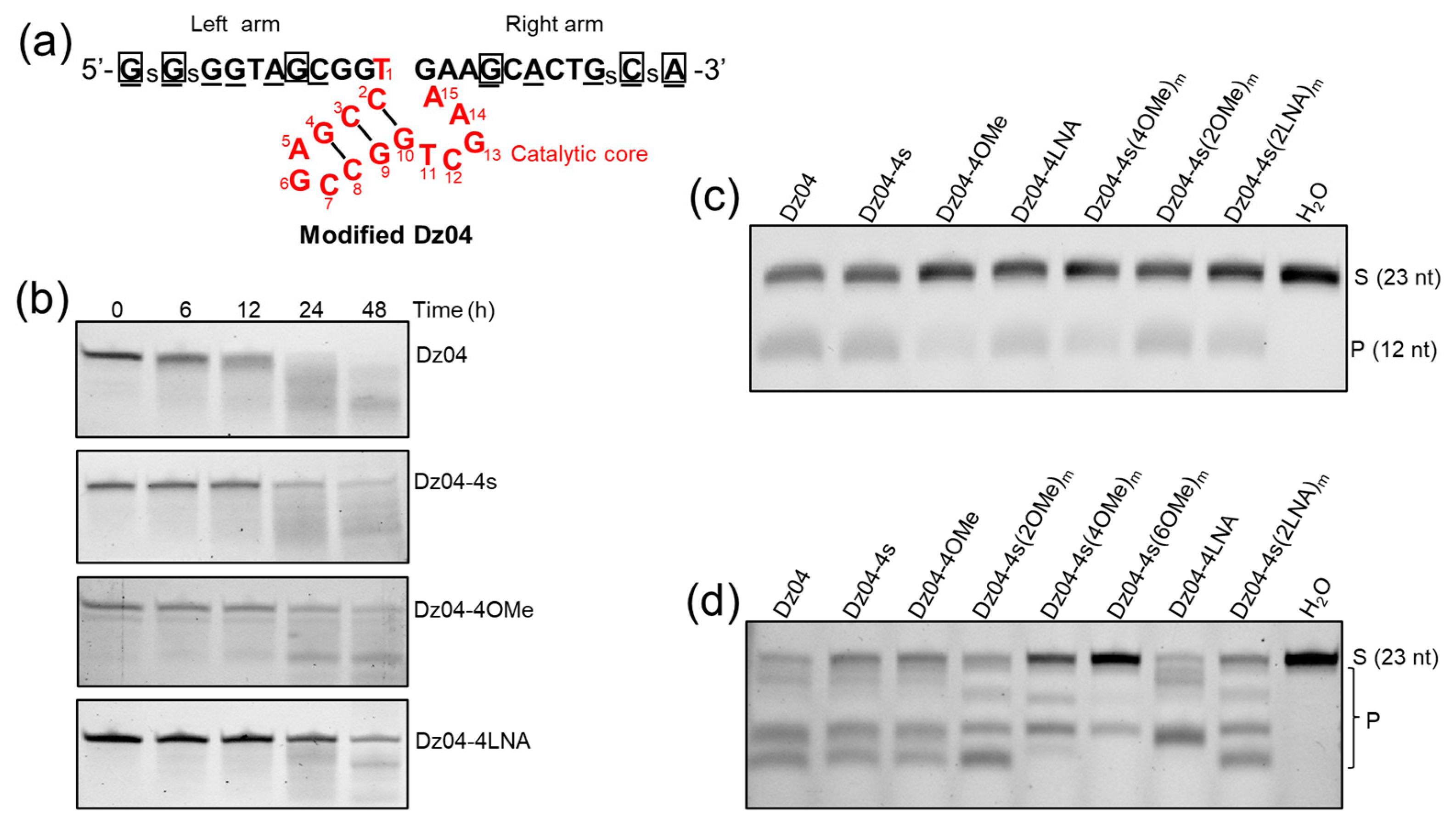 Molecules 28 00286 g005