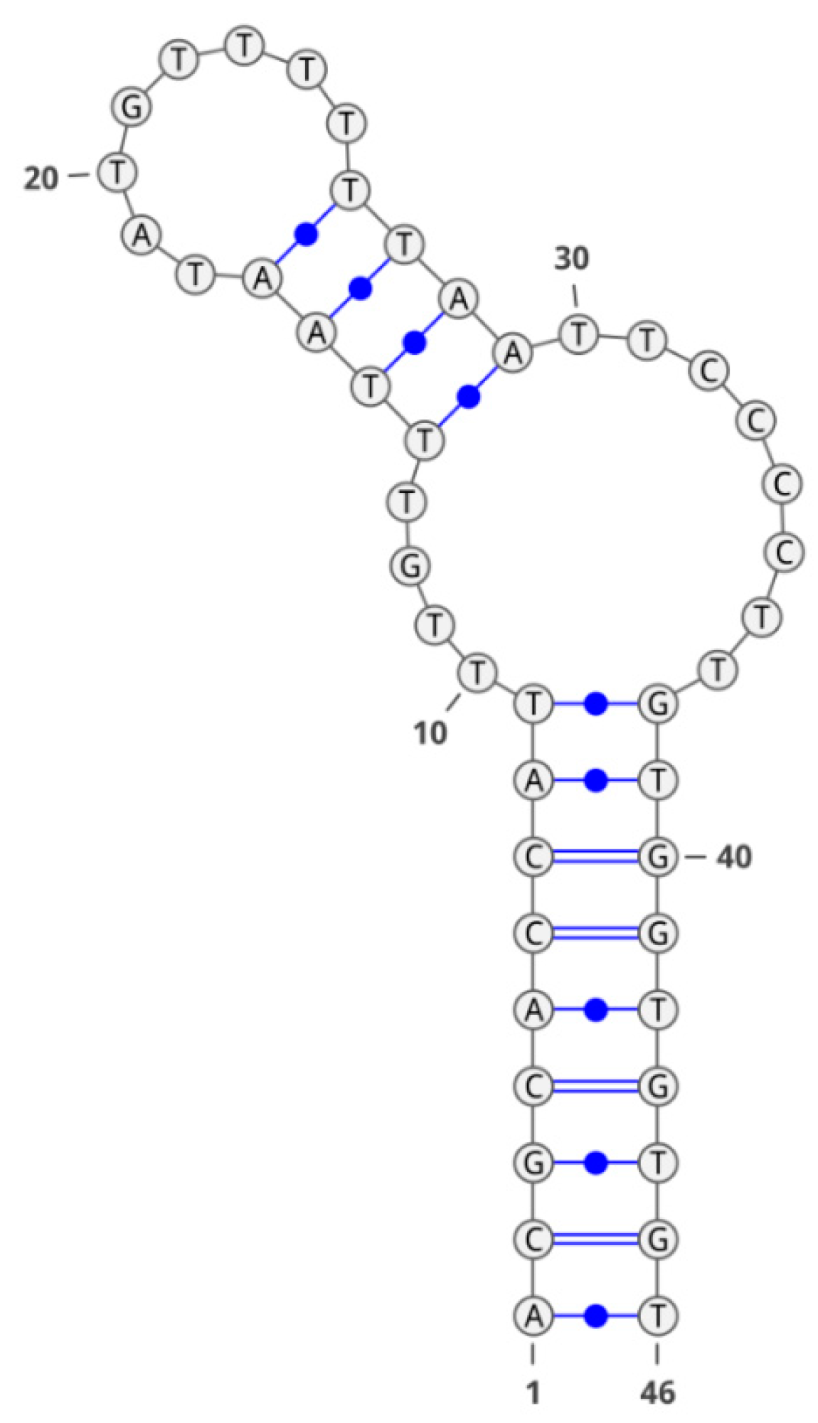 Molecules 28 00294 g005 Molecules 28 00294 g005