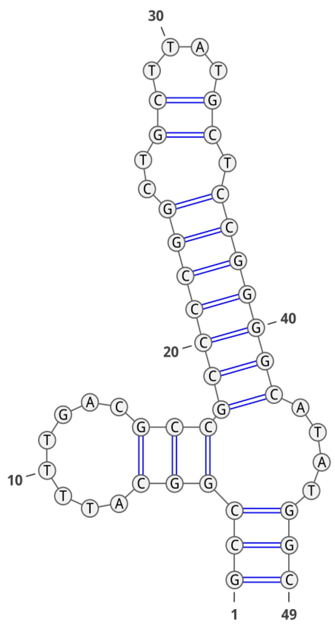 Molecules 28 00294 g006 Molecules 28 00294 g006