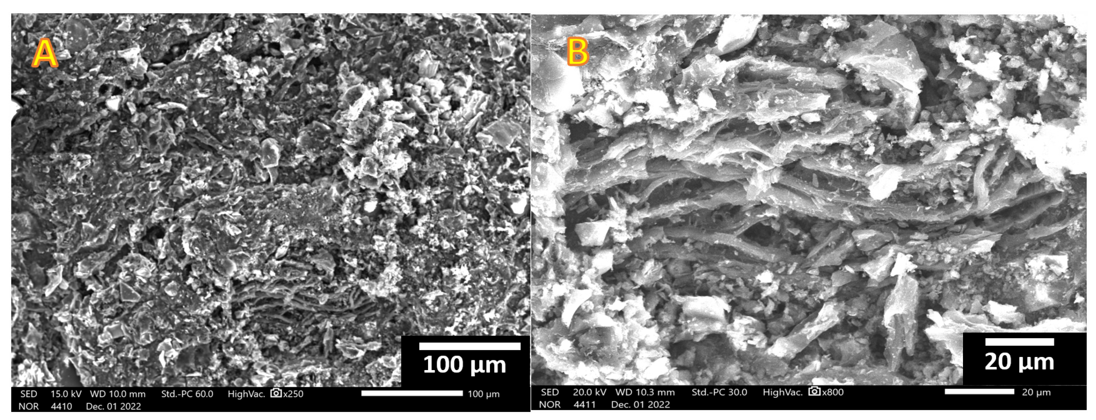 Molecules 28 00296 g003