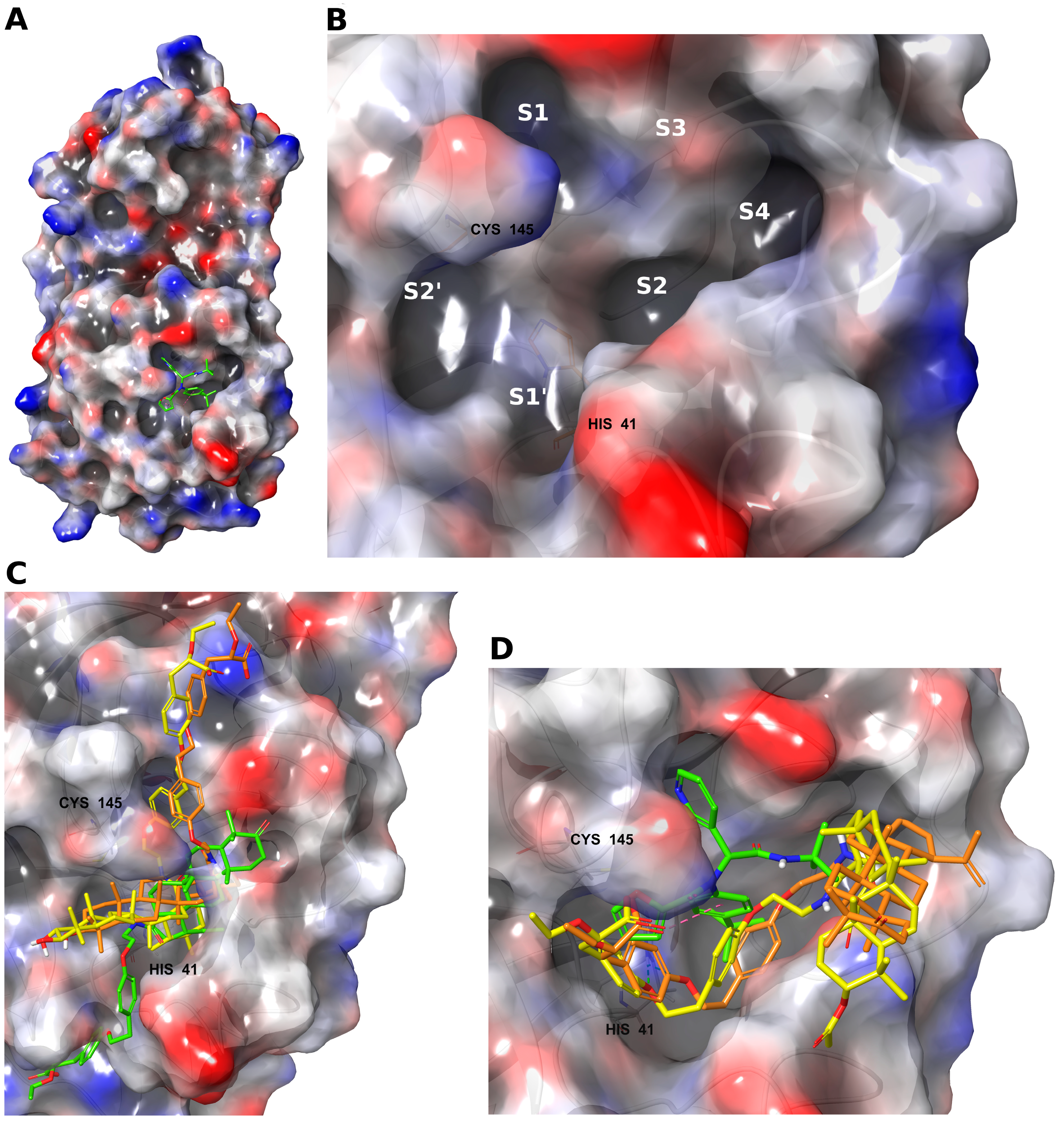 Molecules 28 00303 g003 Molecules 28 00303 g003