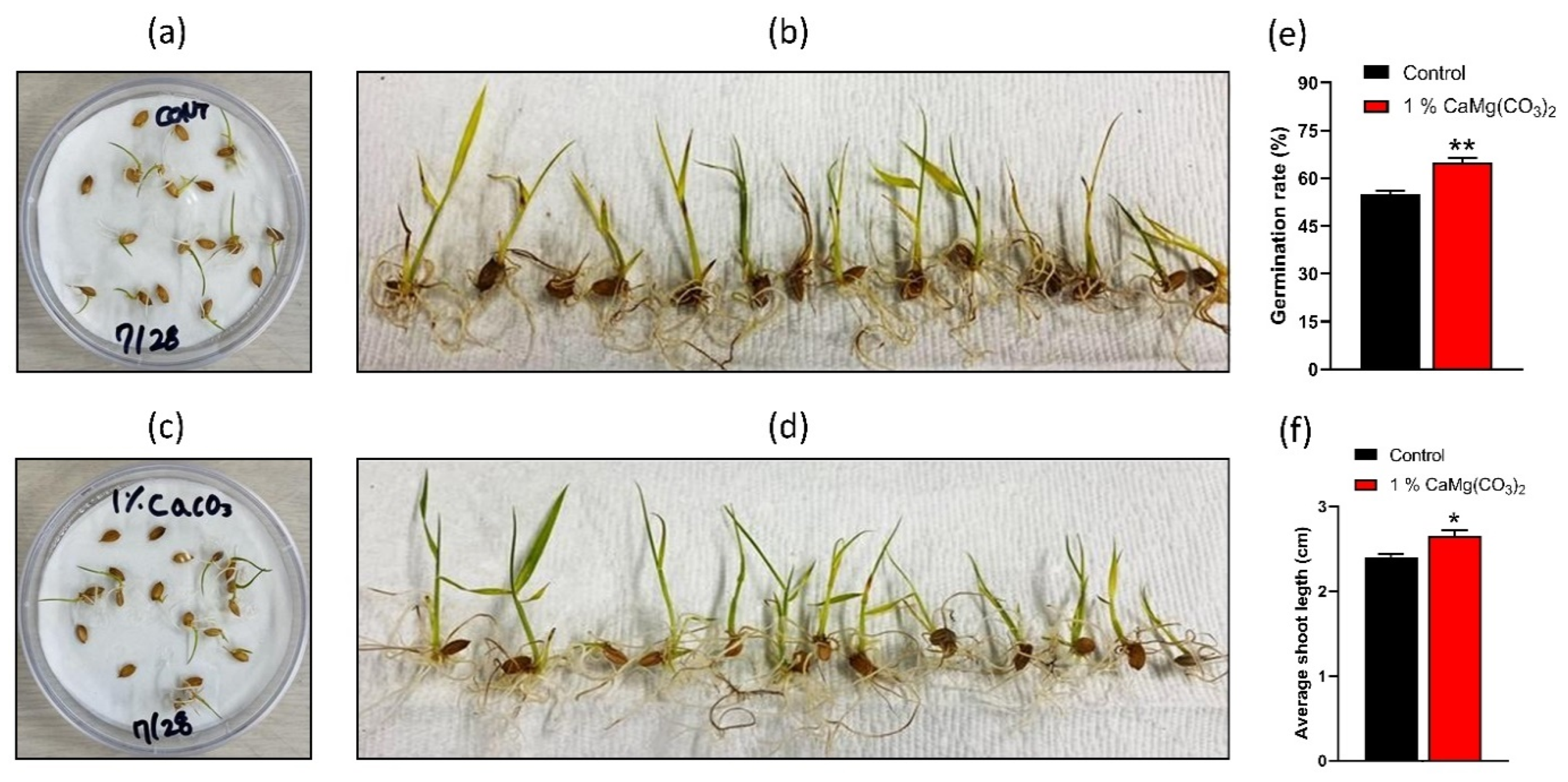 Molecules 28 00316 g001 Molecules 28 00316 g001