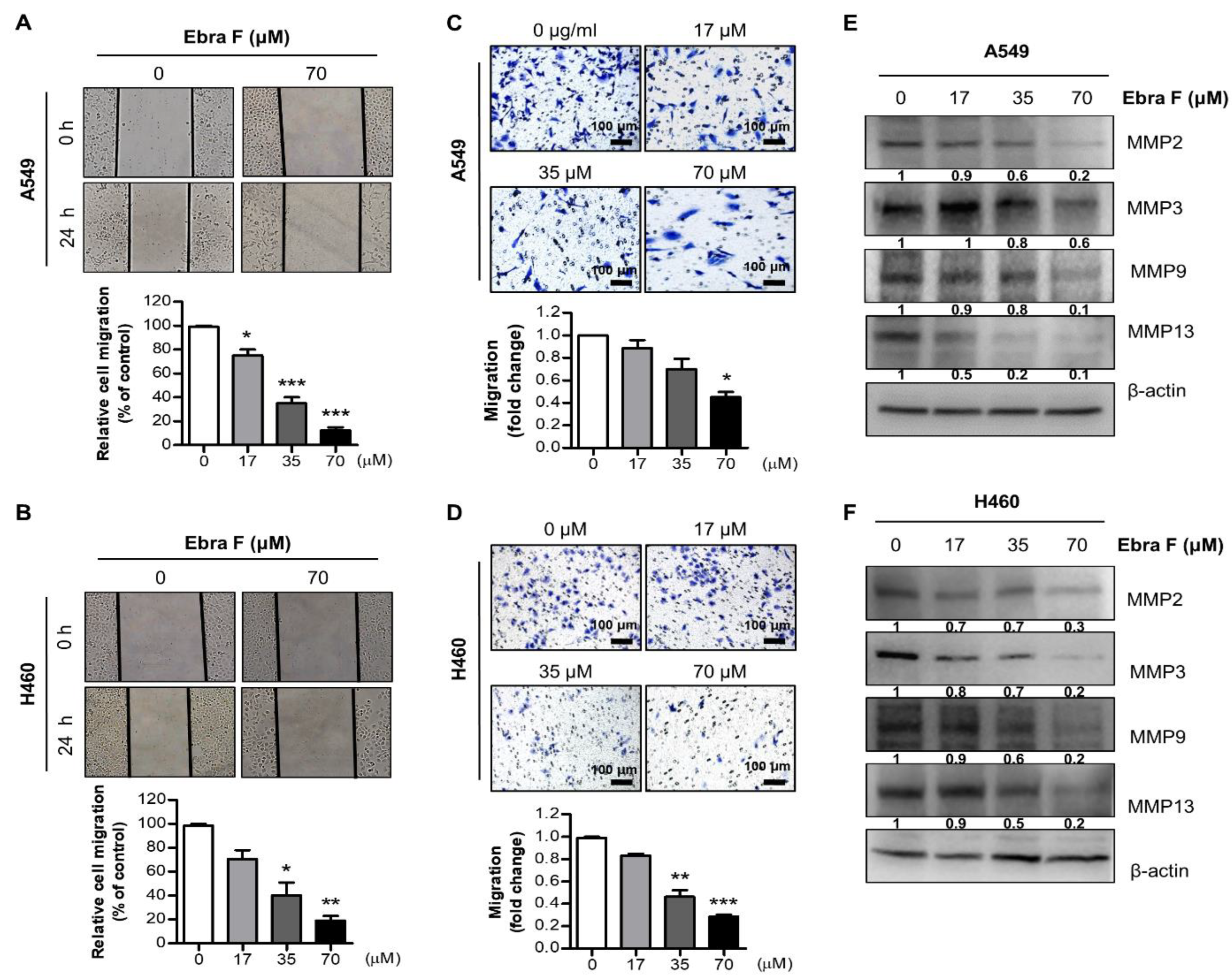 Molecules 28 00329 g002