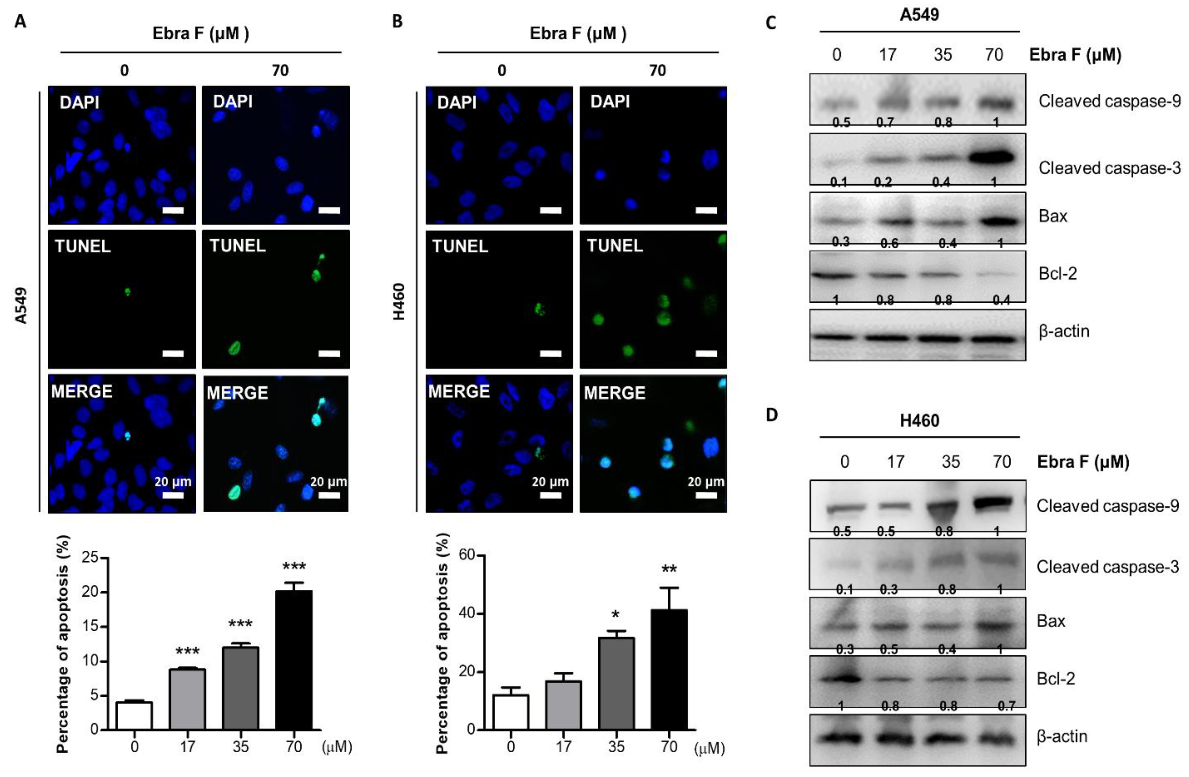 Molecules 28 00329 g004