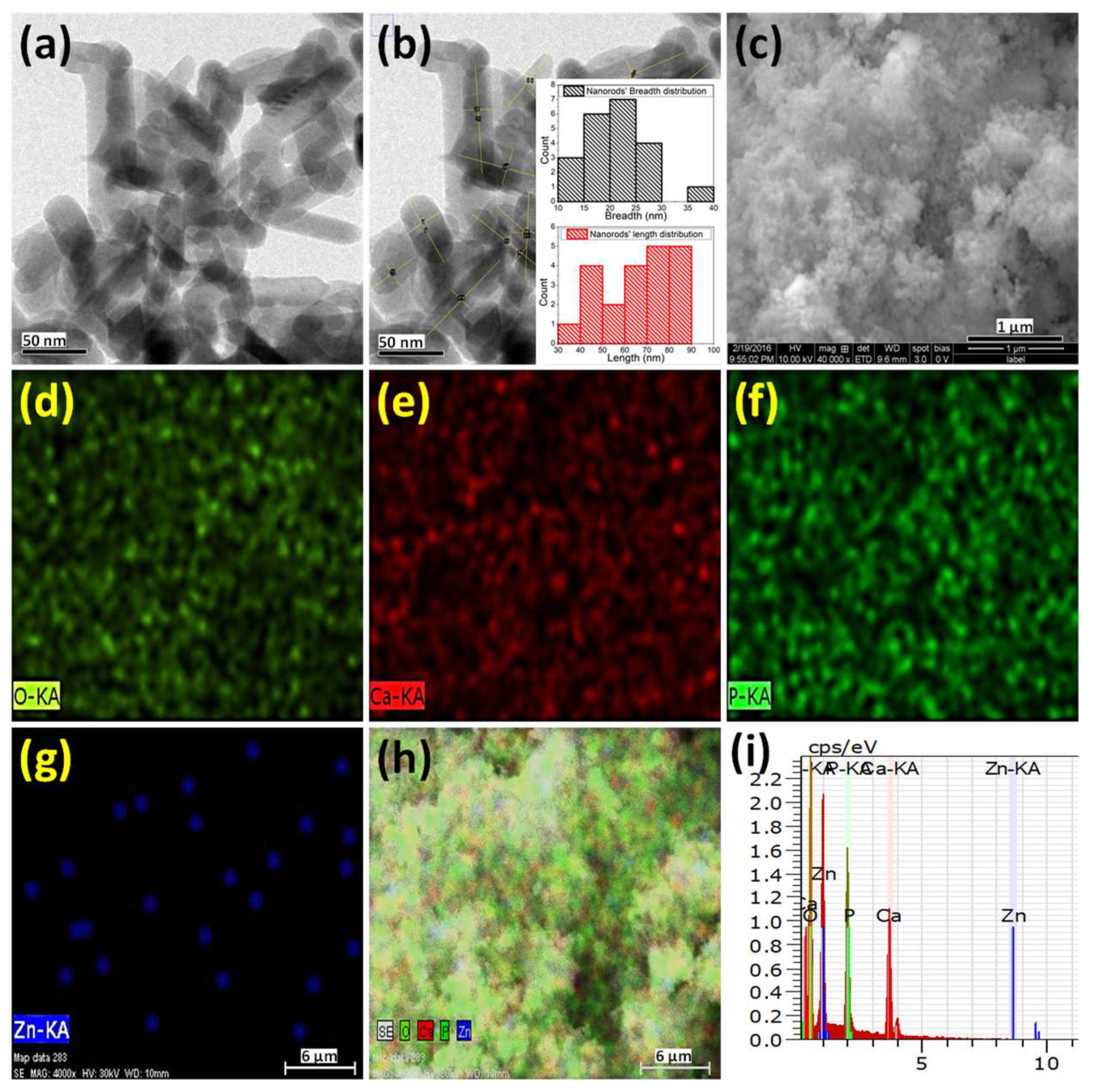 Molecules 28 00345 g002