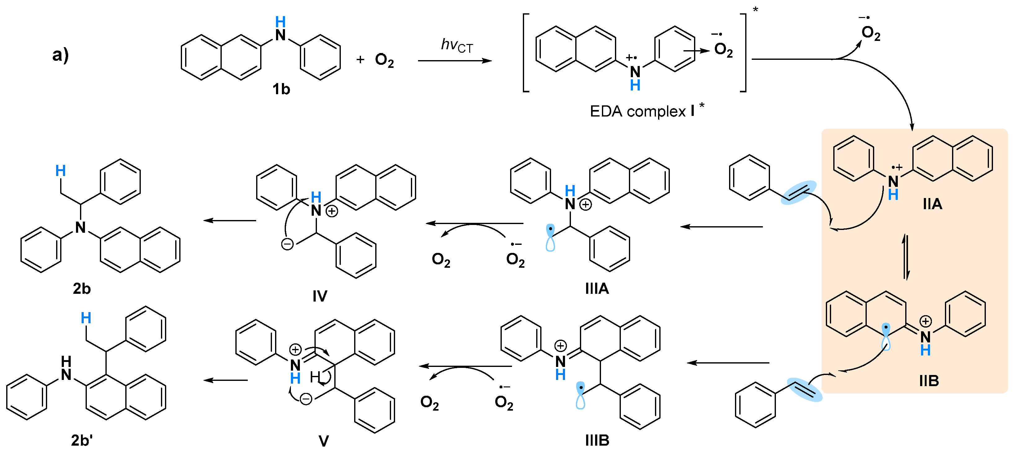 Molecules 28 00356 g005a