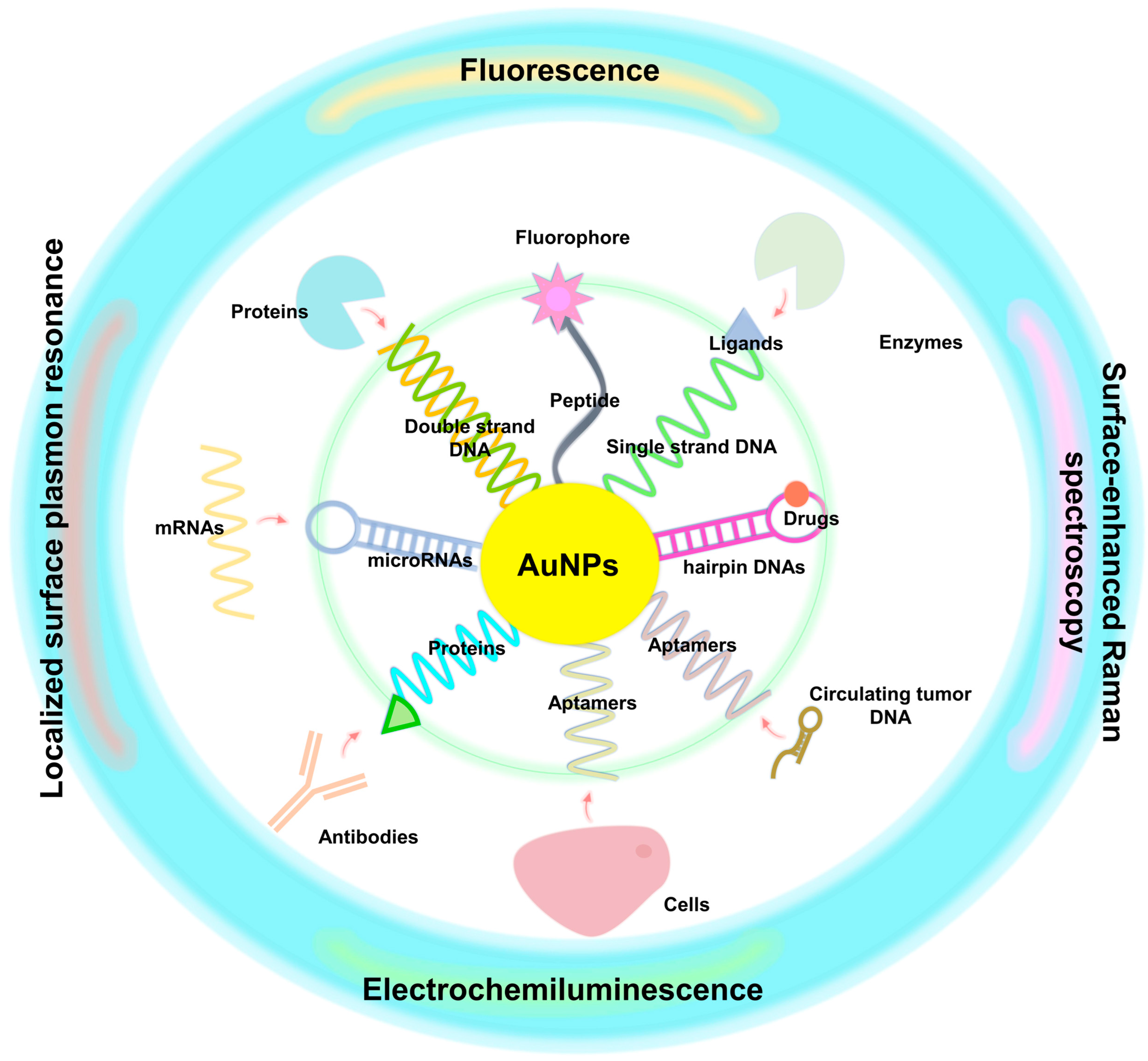 Molecules 28 00364 g005 Molecules 28 00364 g005