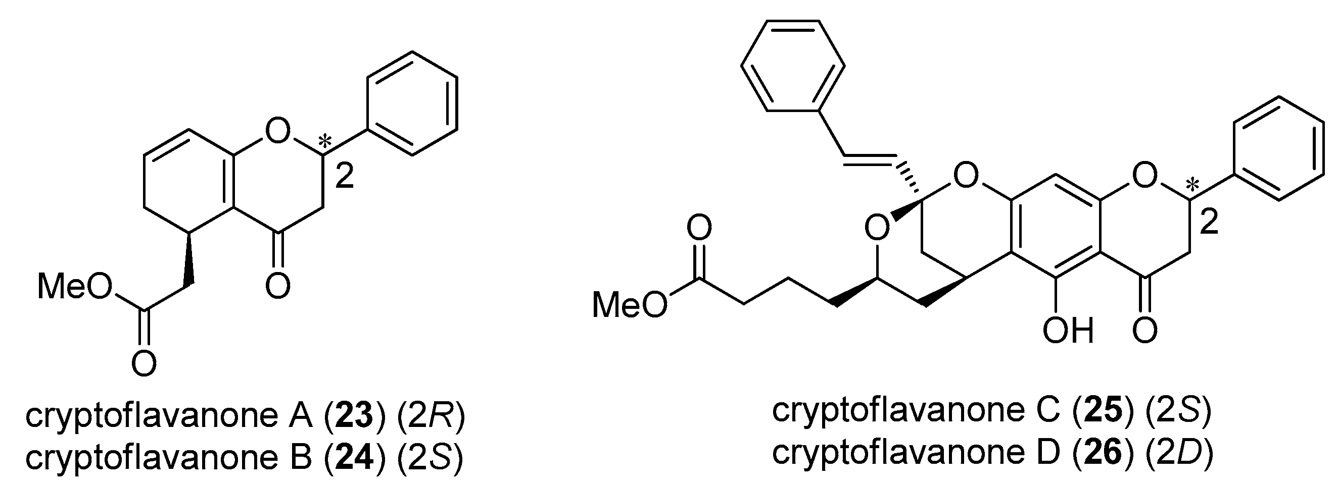 Molecules 28 00365 g006 Molecules 28 00365 g006