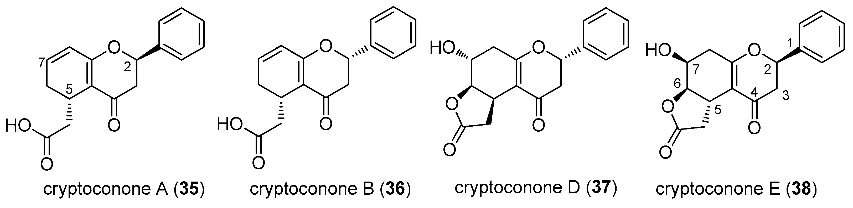 Molecules 28 00365 g008 Molecules 28 00365 g008