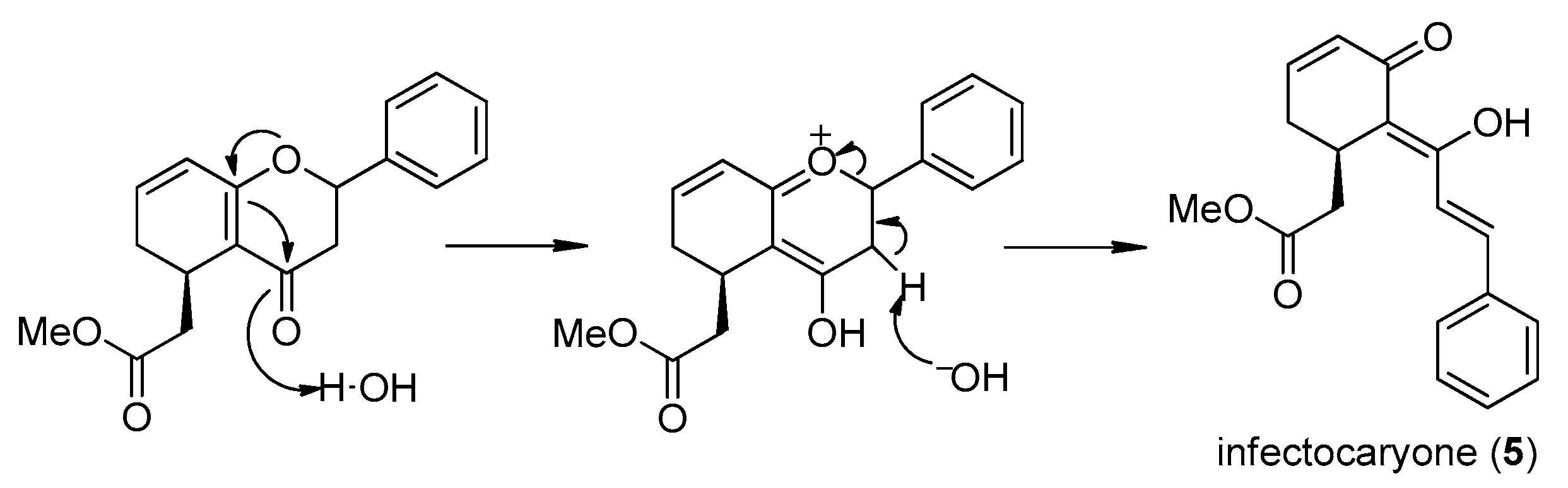 Molecules 28 00365 sch001 Molecules 28 00365 sch001