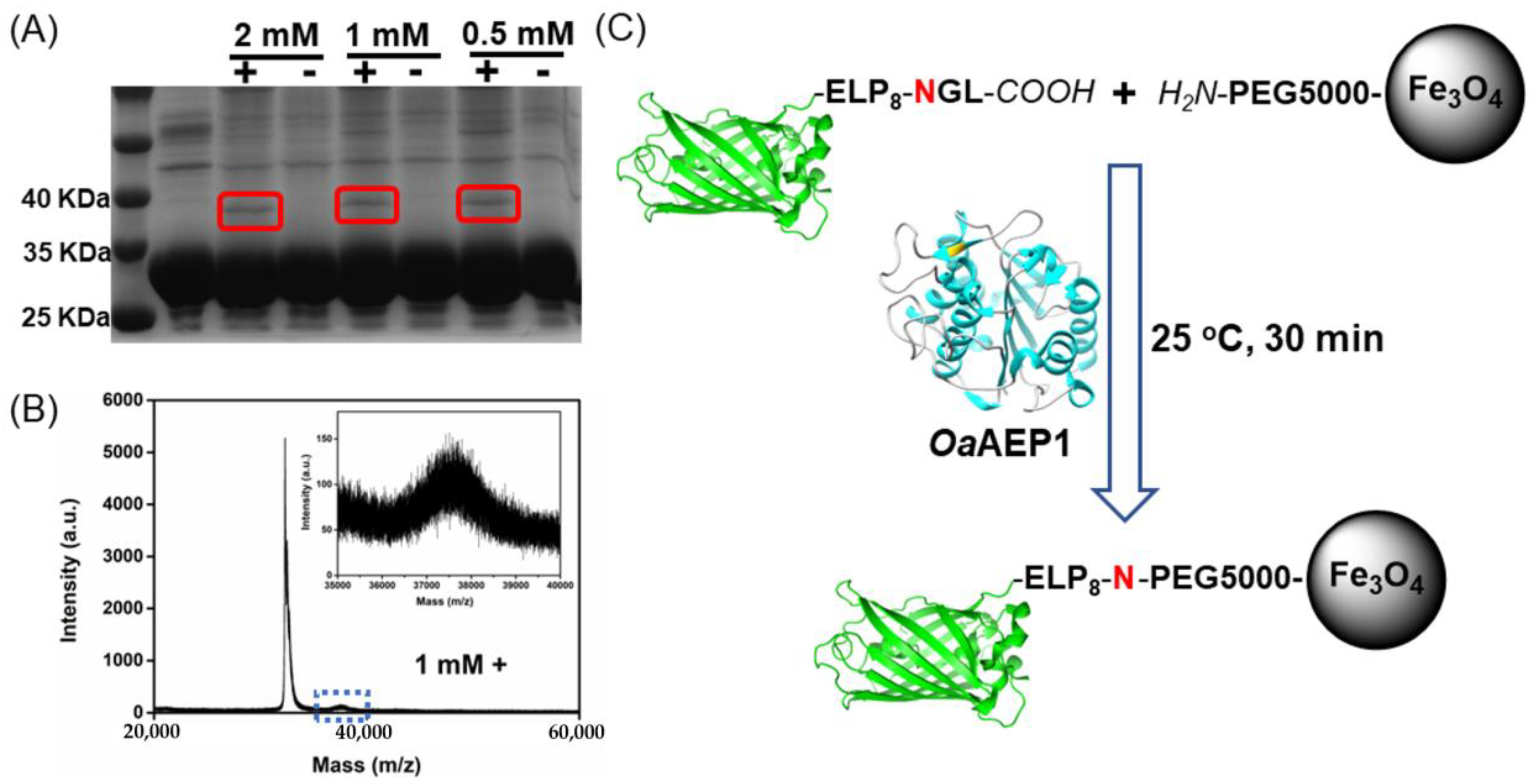 Molecules 28 00379 g002 Molecules 28 00379 g002