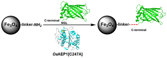 Molecules 28 00379 sch001 Molecules 28 00379 sch001