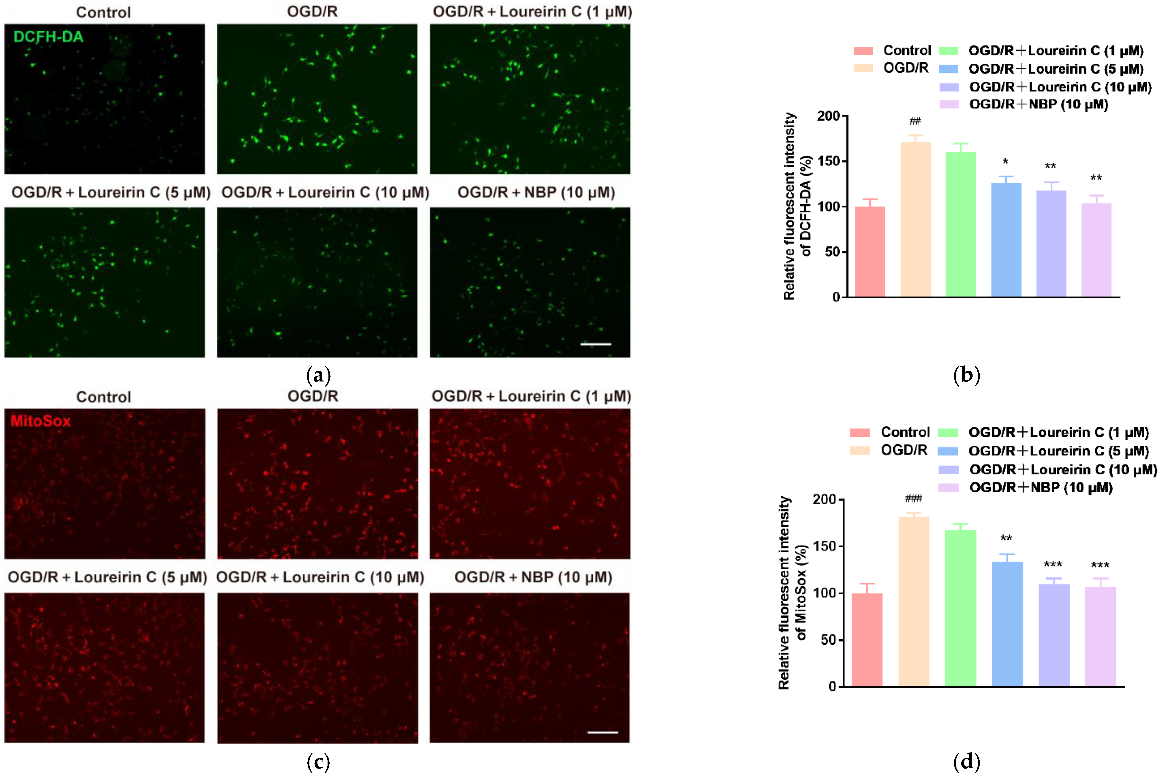 Molecules 28 00380 g002