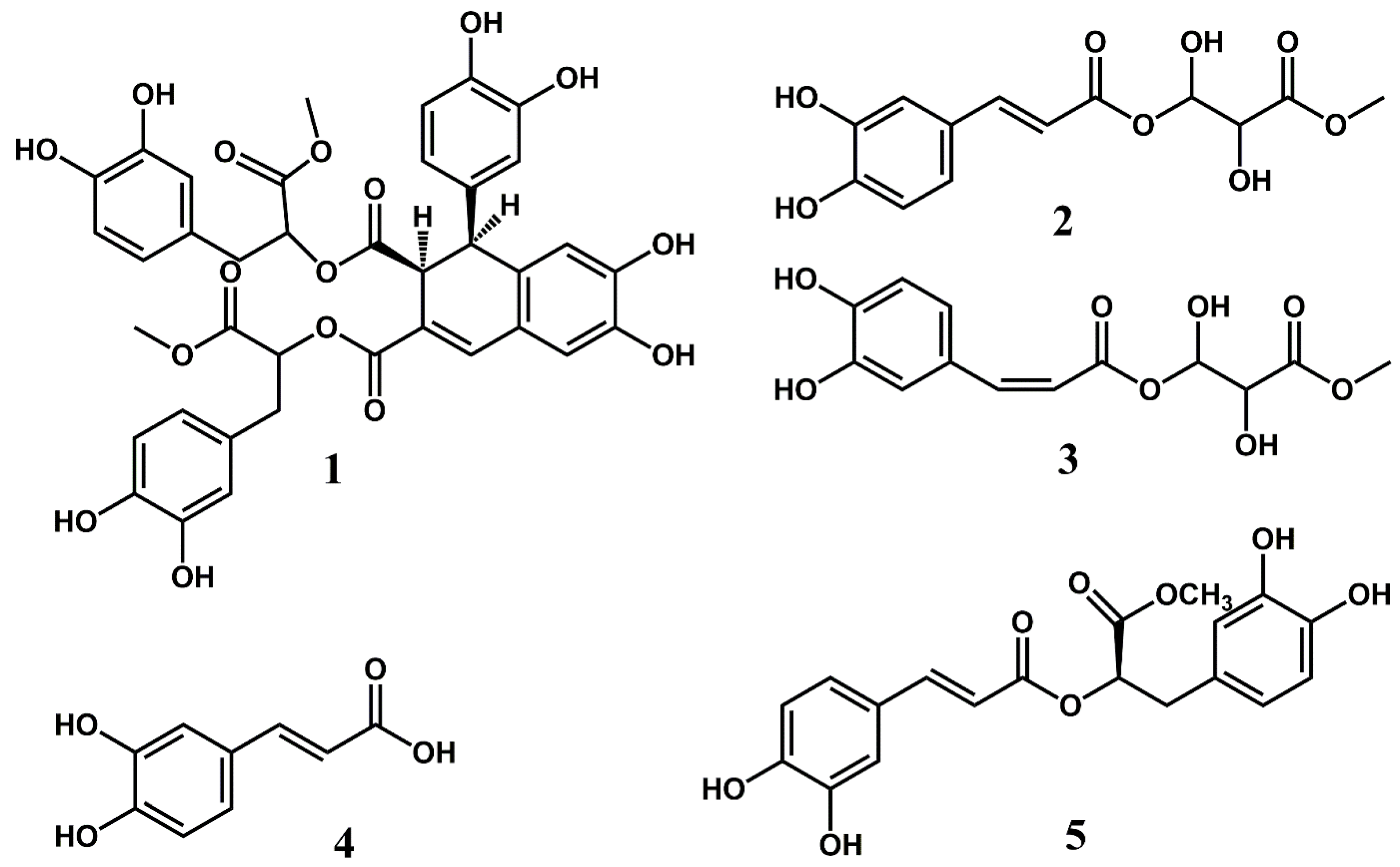 Molecules 28 00385 g002 Molecules 28 00385 g002