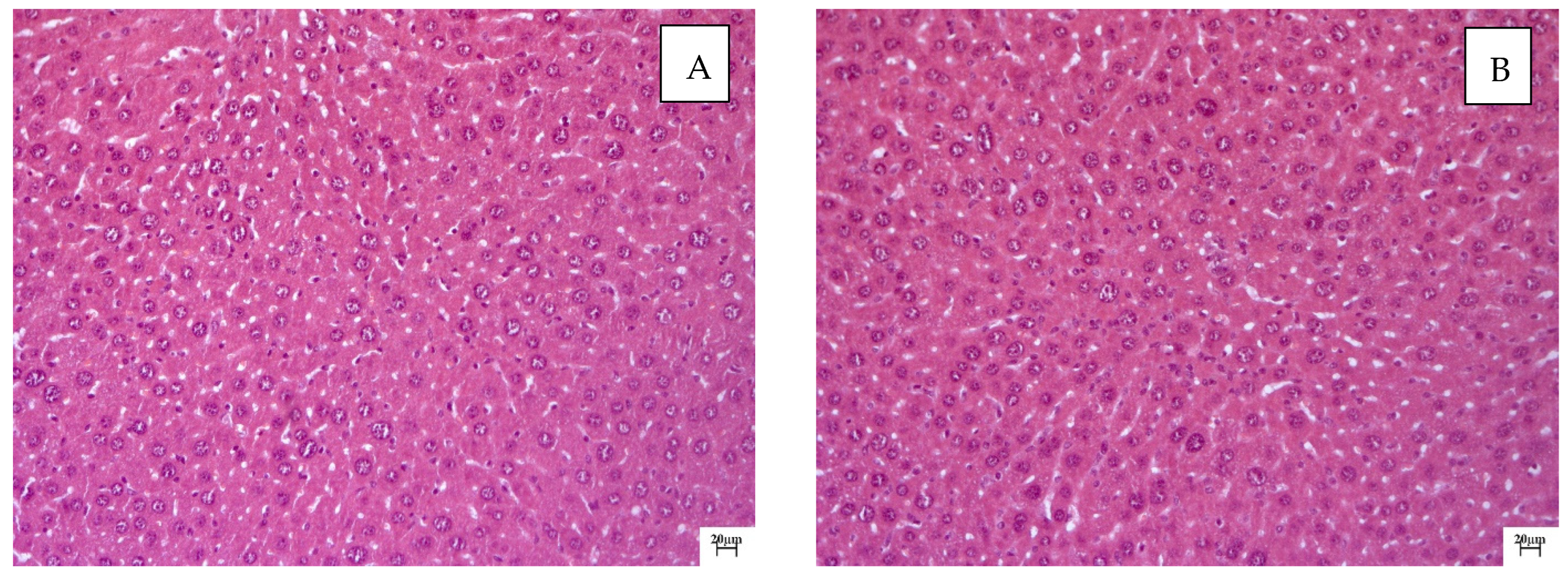 Molecules 28 00396 g004