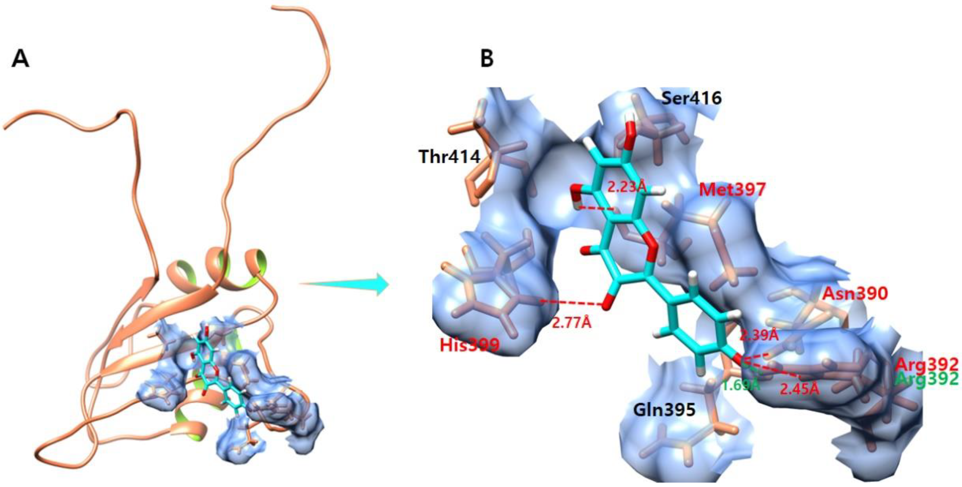 Molecules 28 00414 g007