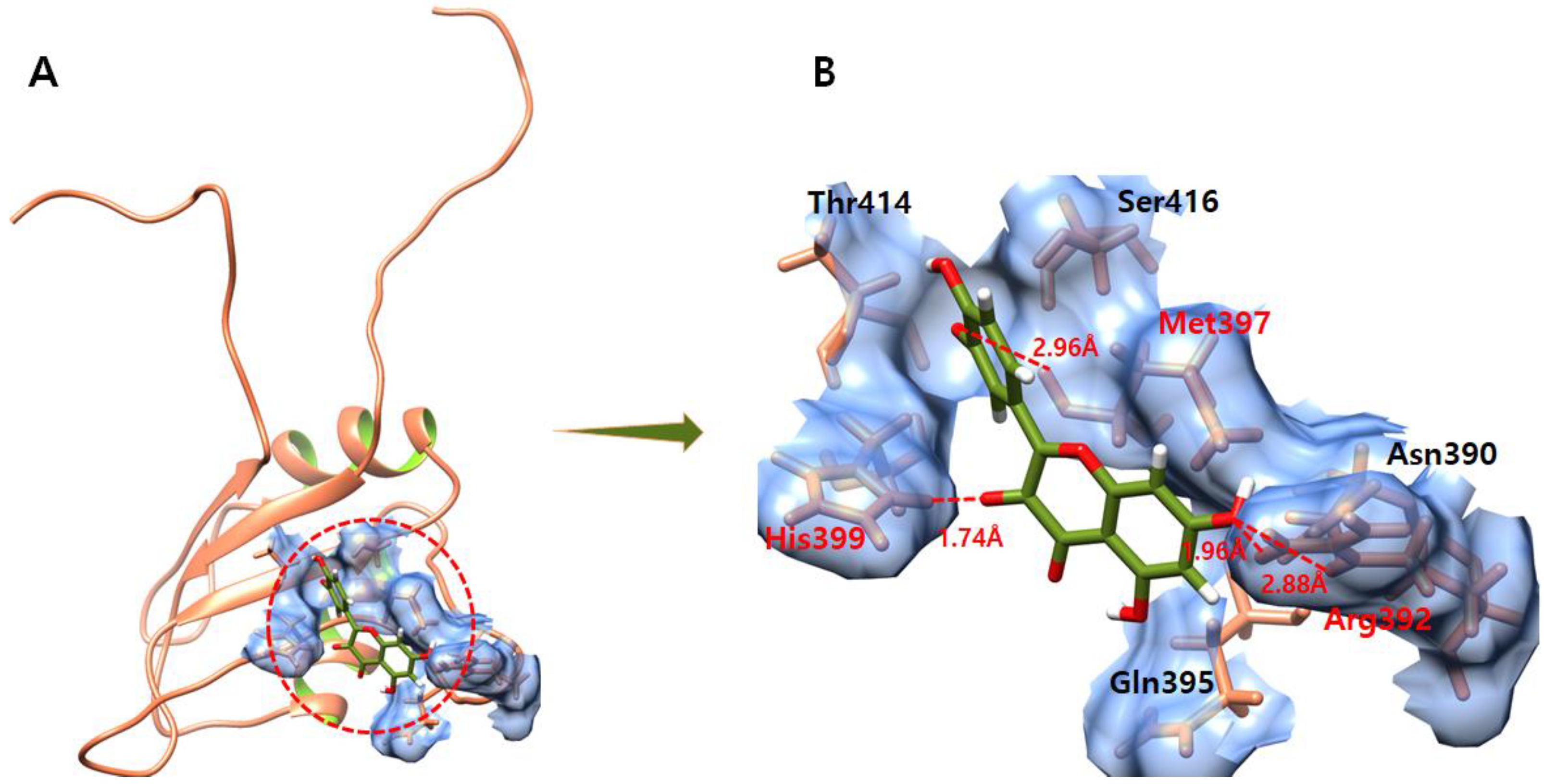Molecules 28 00414 g009