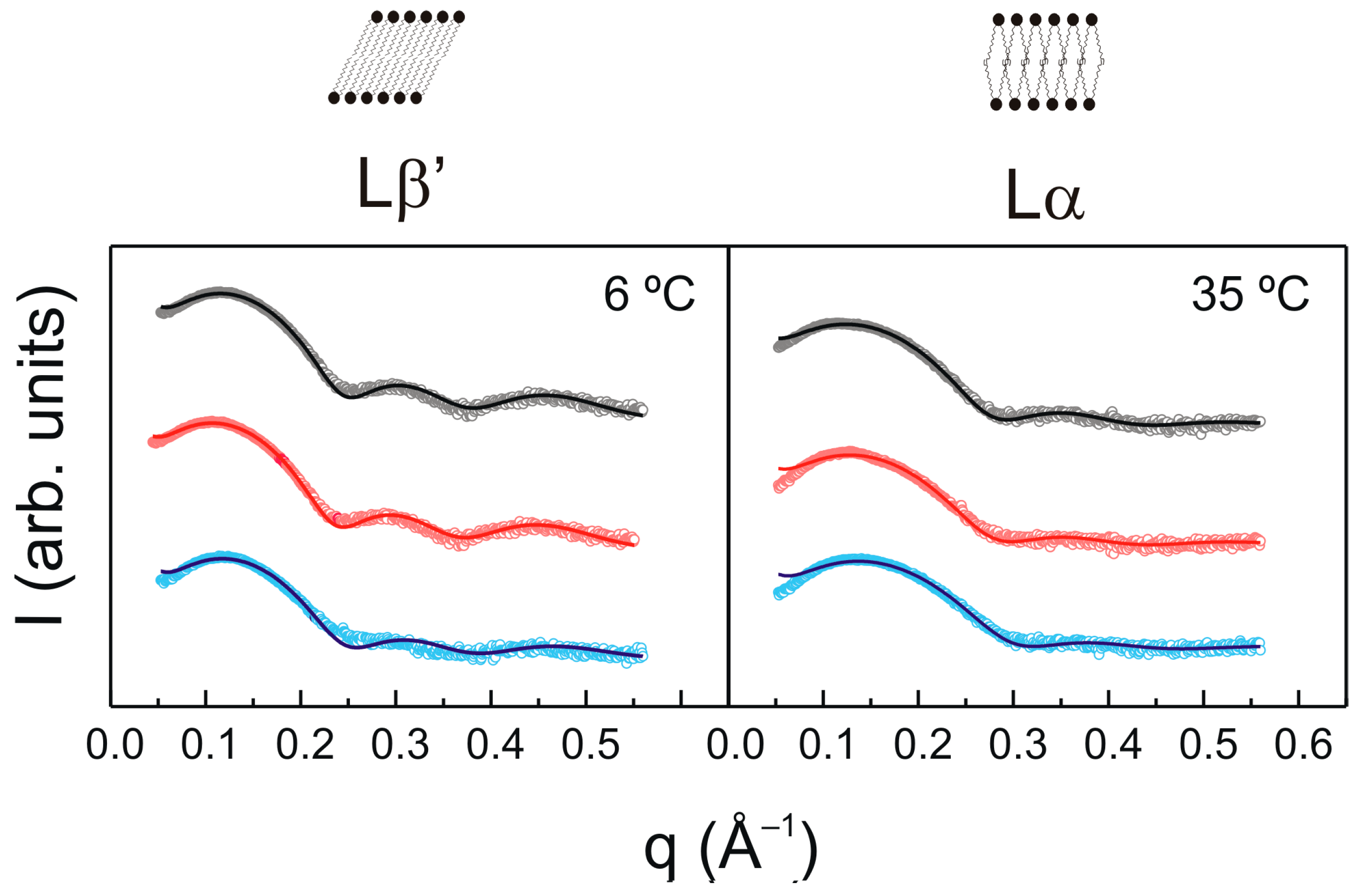 Molecules 28 00422 g004 Molecules 28 00422 g004