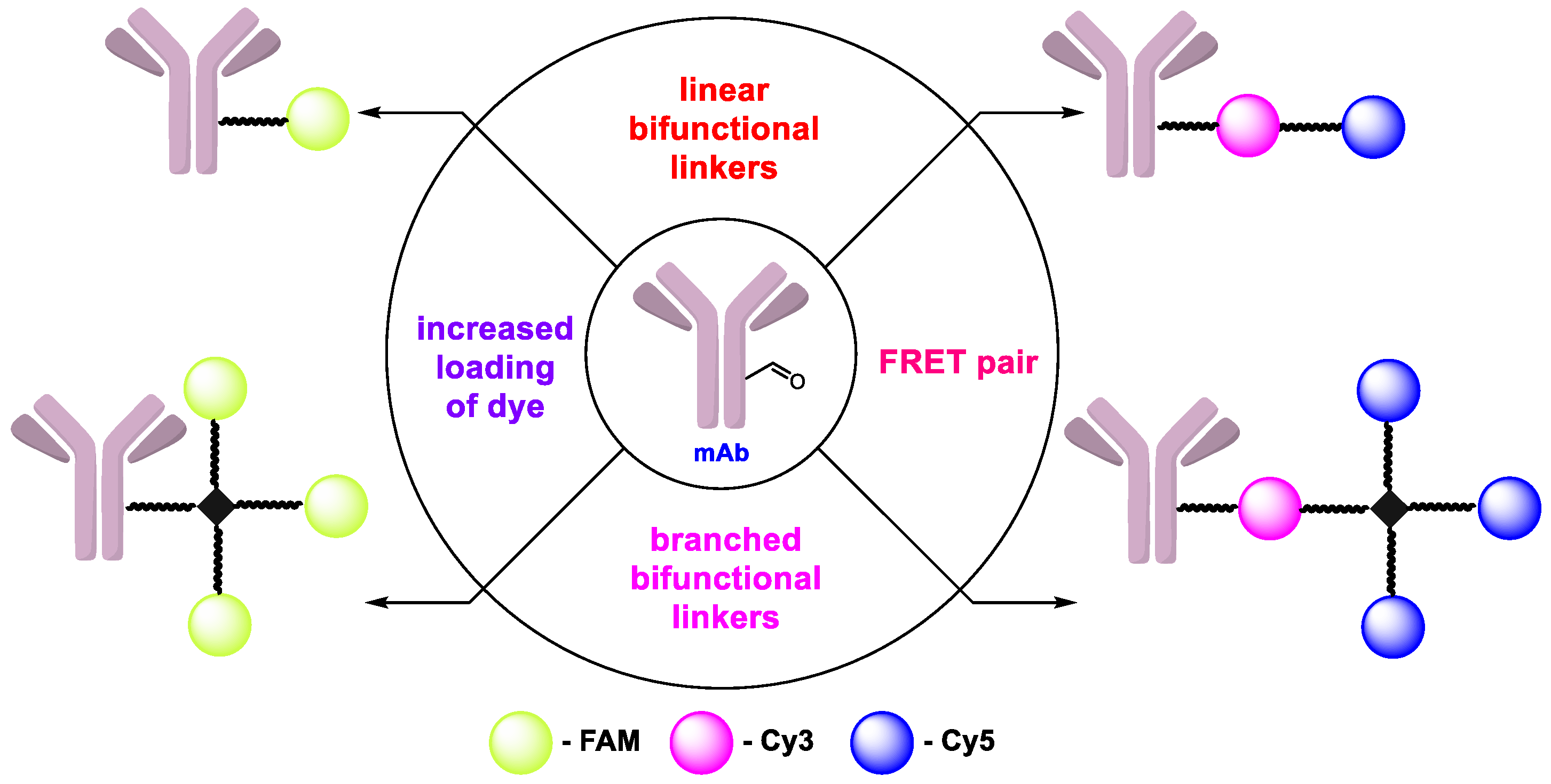 Molecules 28 00425 g001