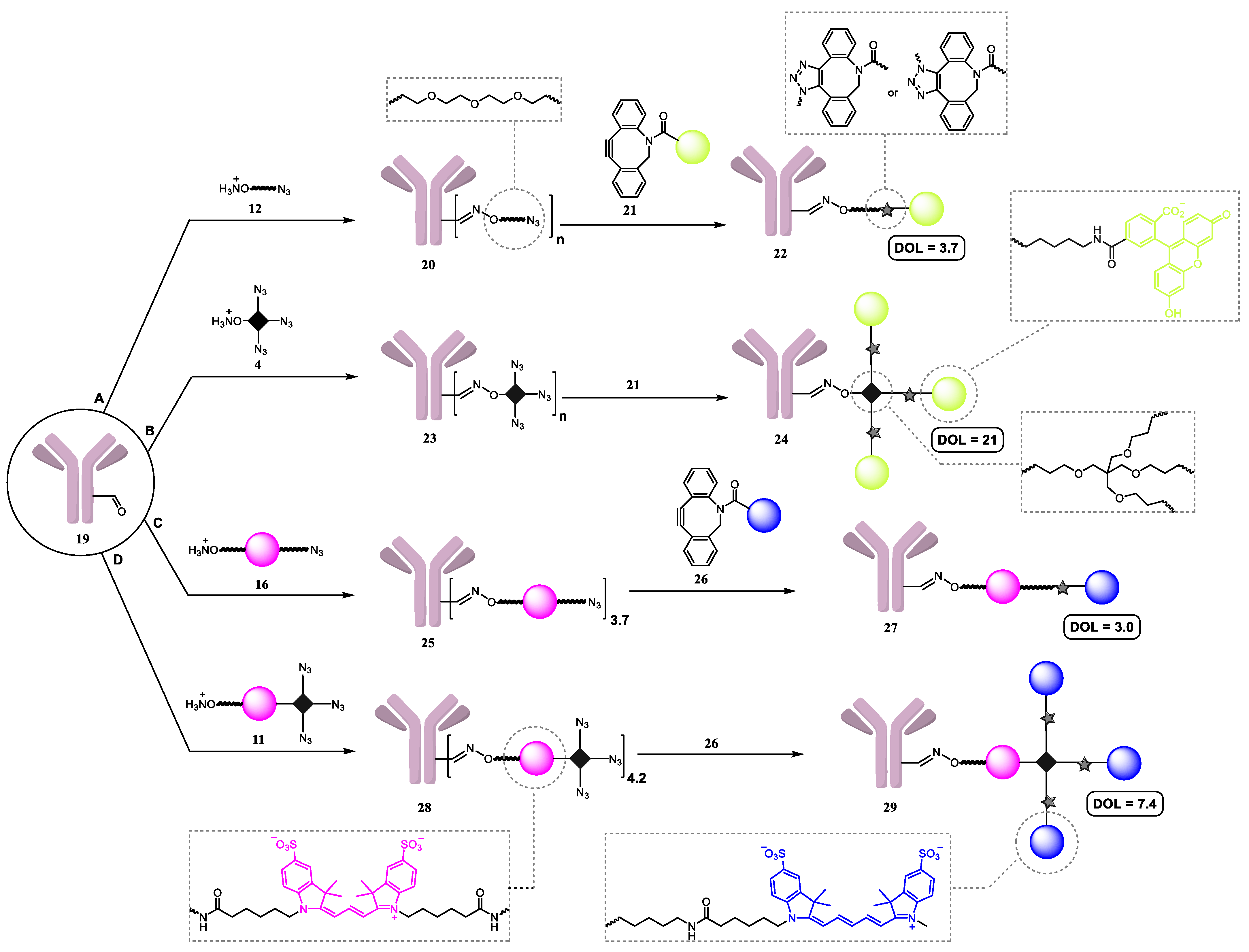 Molecules 28 00425 sch002
