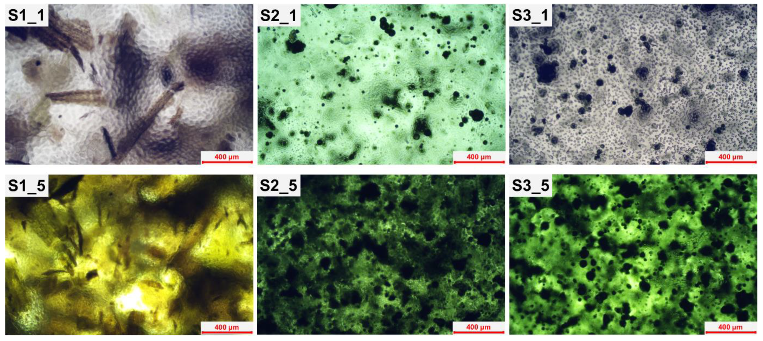 Molecules 28 00436 g003