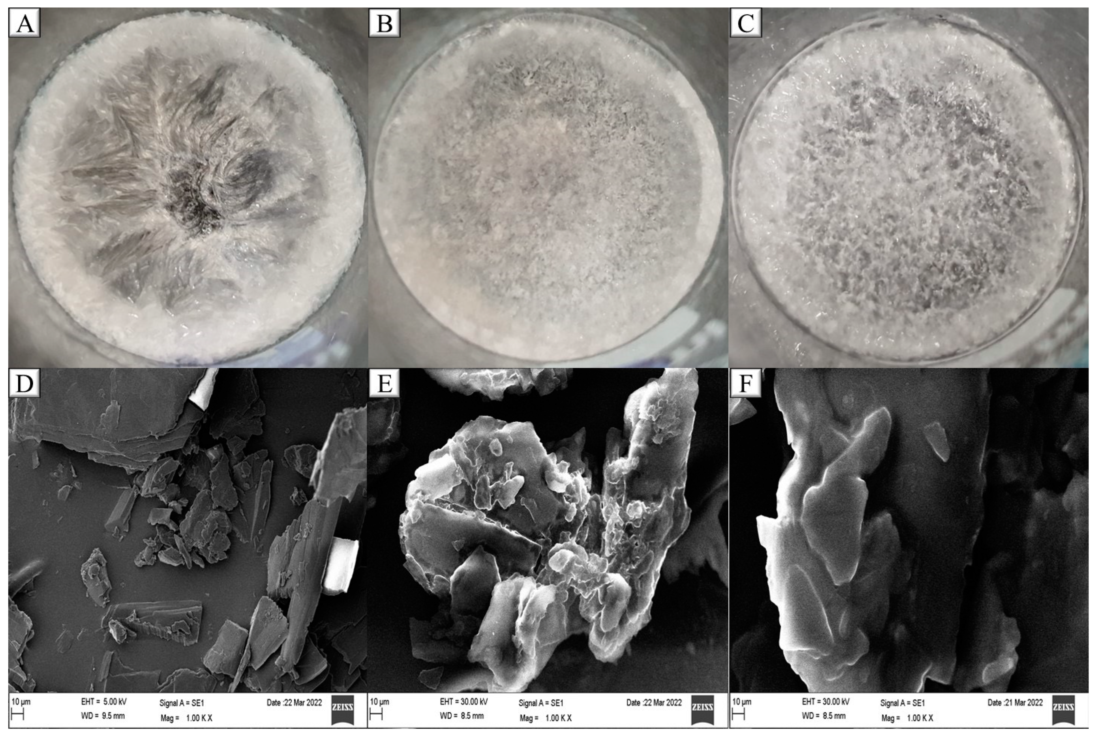 Molecules 28 00448 g006 Molecules 28 00448 g006
