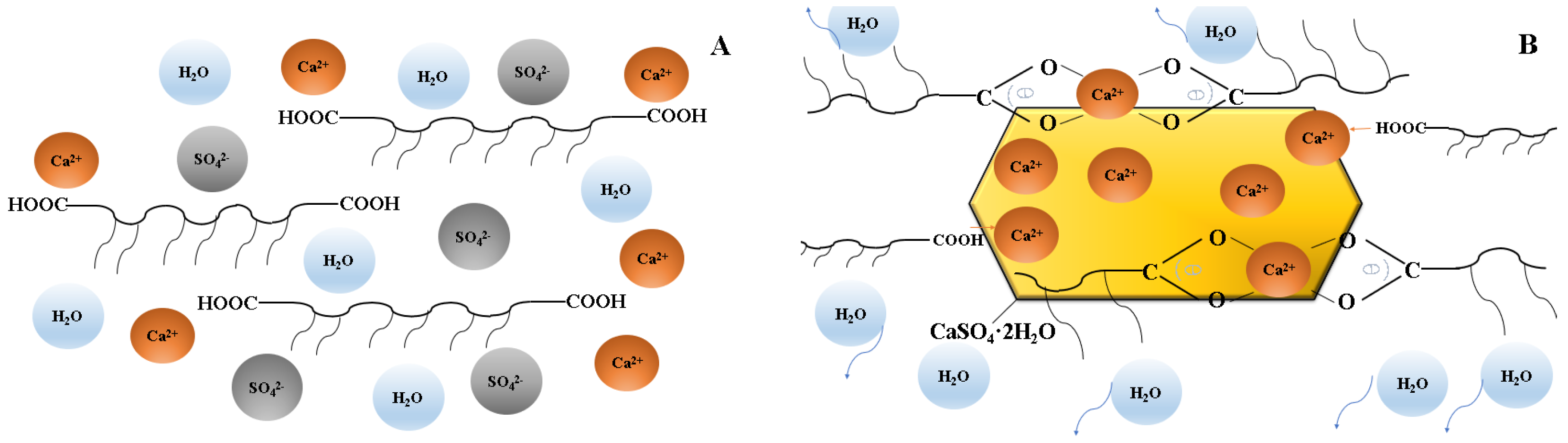 Molecules 28 00513 g007