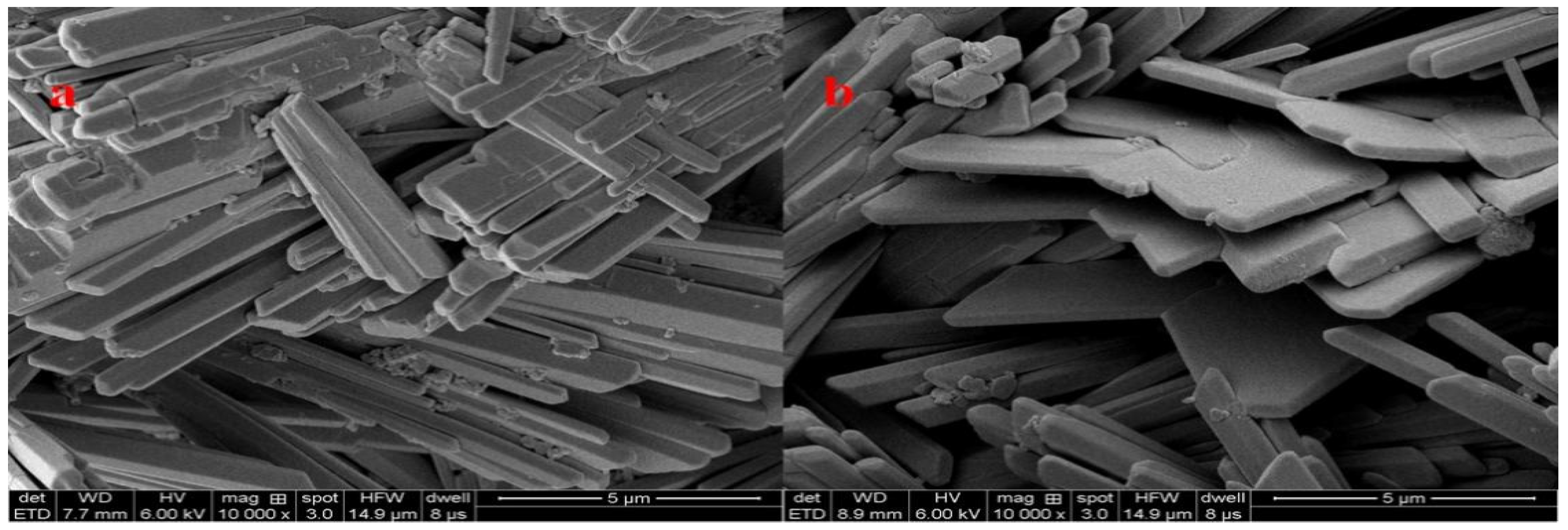 Molecules 28 00513 g009
