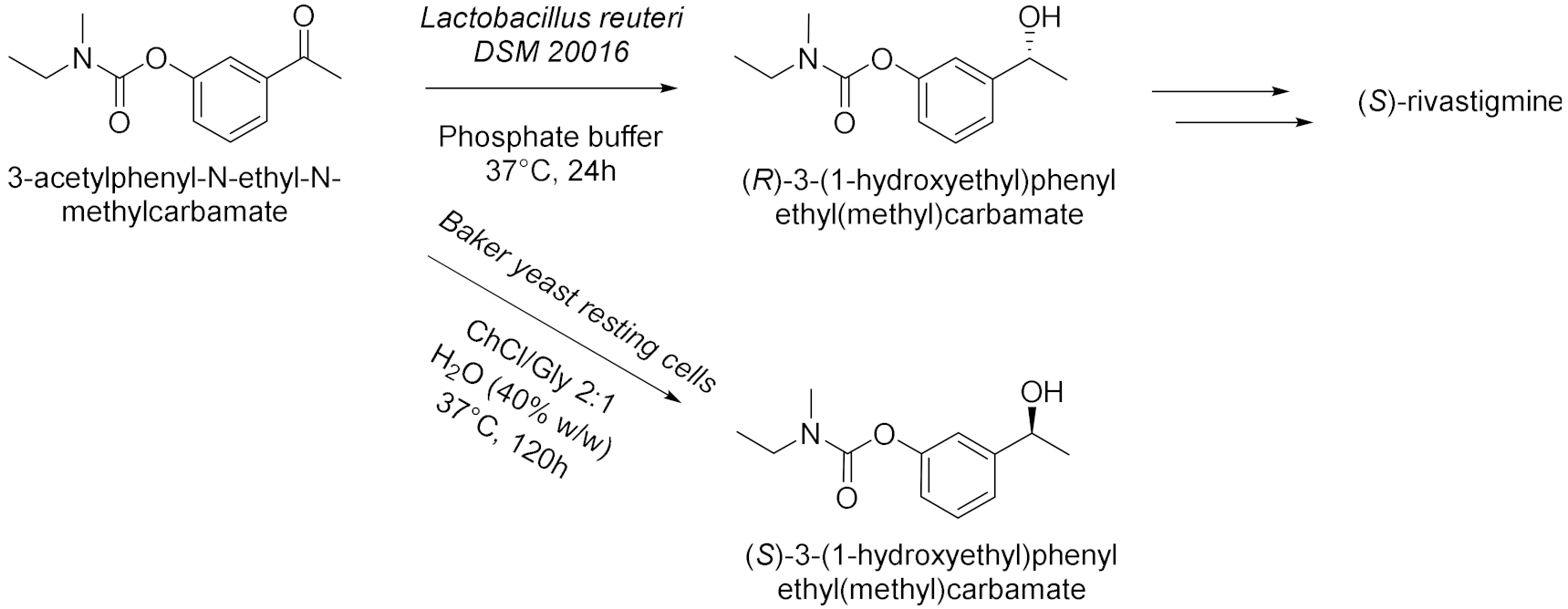 Molecules 28 00516 i006