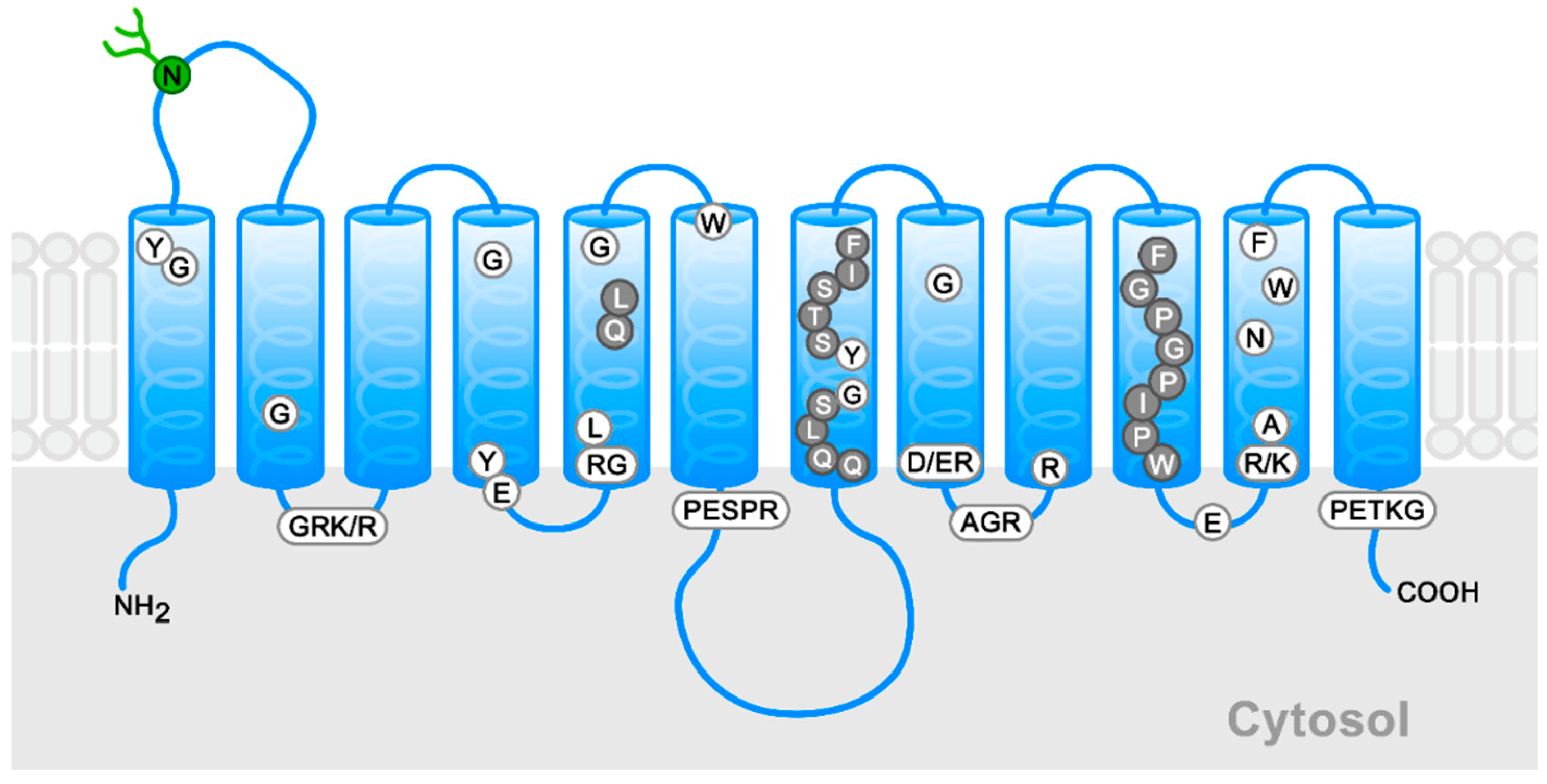 Molecules 28 00521 g001 Molecules 28 00521 g001