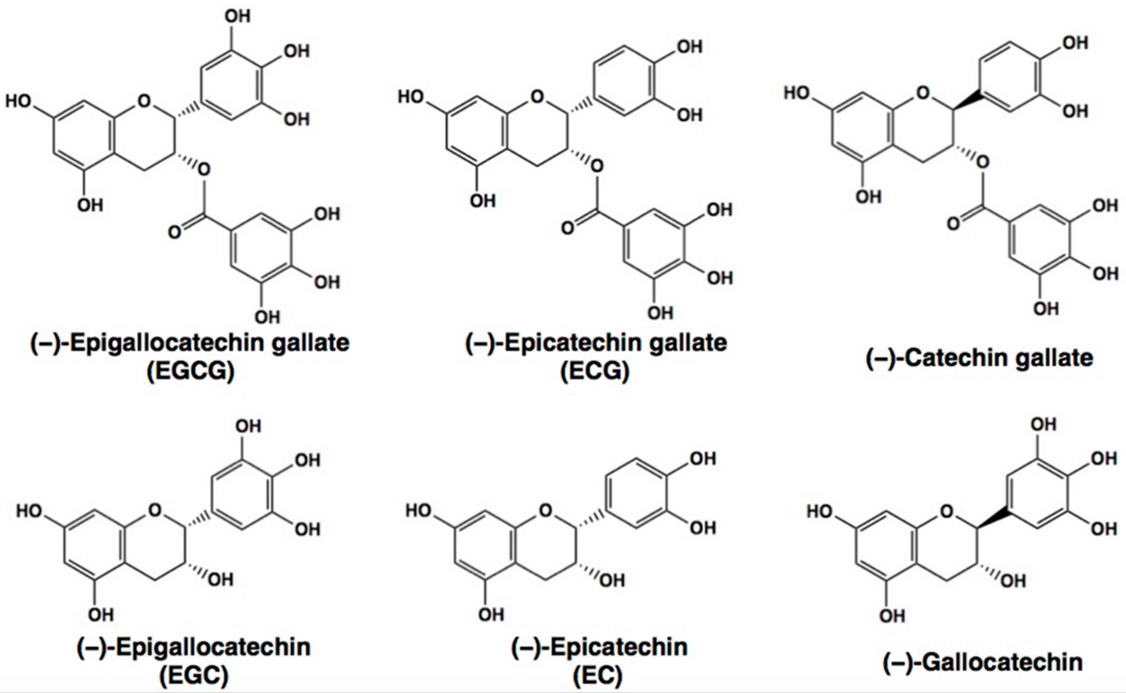 Molecules 28 00525 g001 Molecules 28 00525 g001