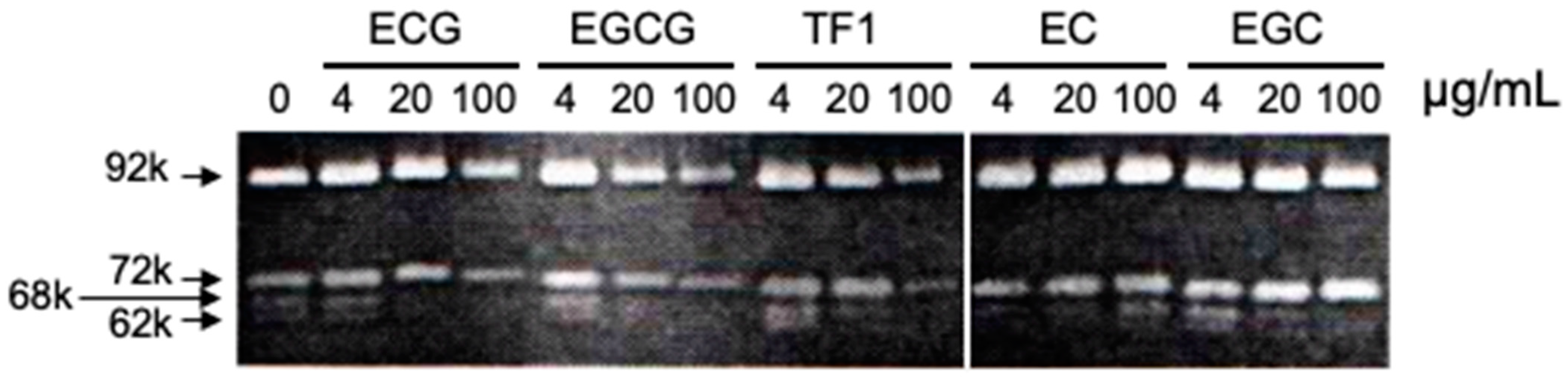 Molecules 28 00525 g003 Molecules 28 00525 g003