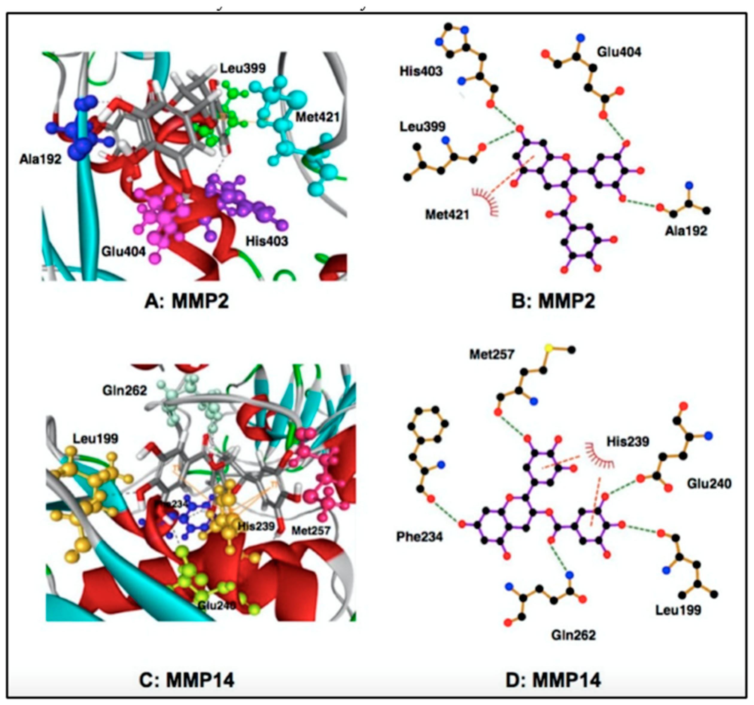 Molecules 28 00525 g006 Molecules 28 00525 g006